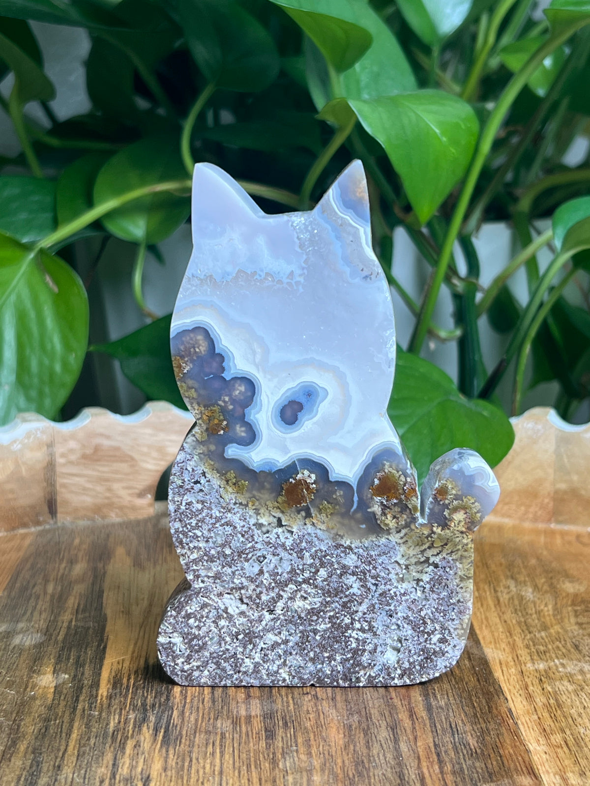 Scenic Moss Agate Cat: AE