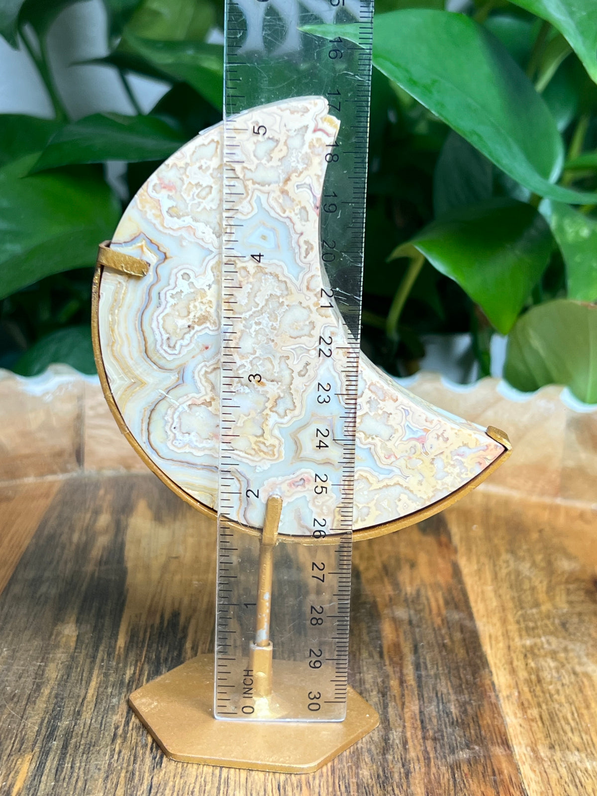 Yellow Crazy Lace Agate Moon: ED