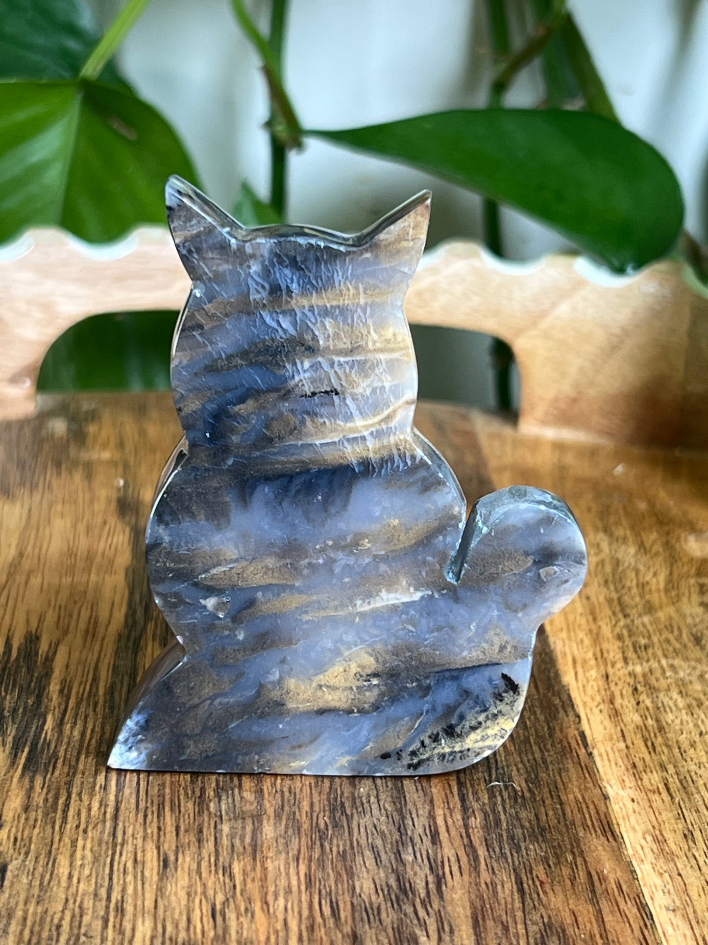 Dendritic Tiger Agate Cat AY