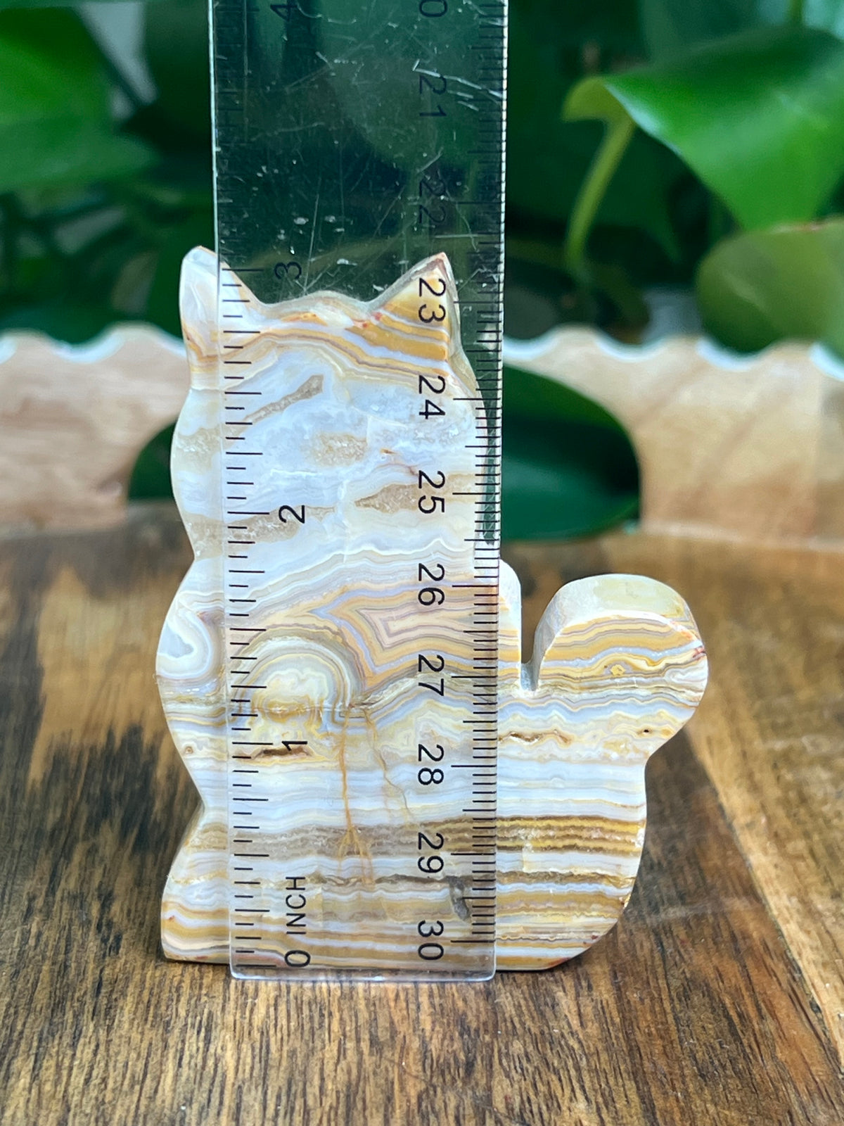 Crazy Lace Agate Cat: NG