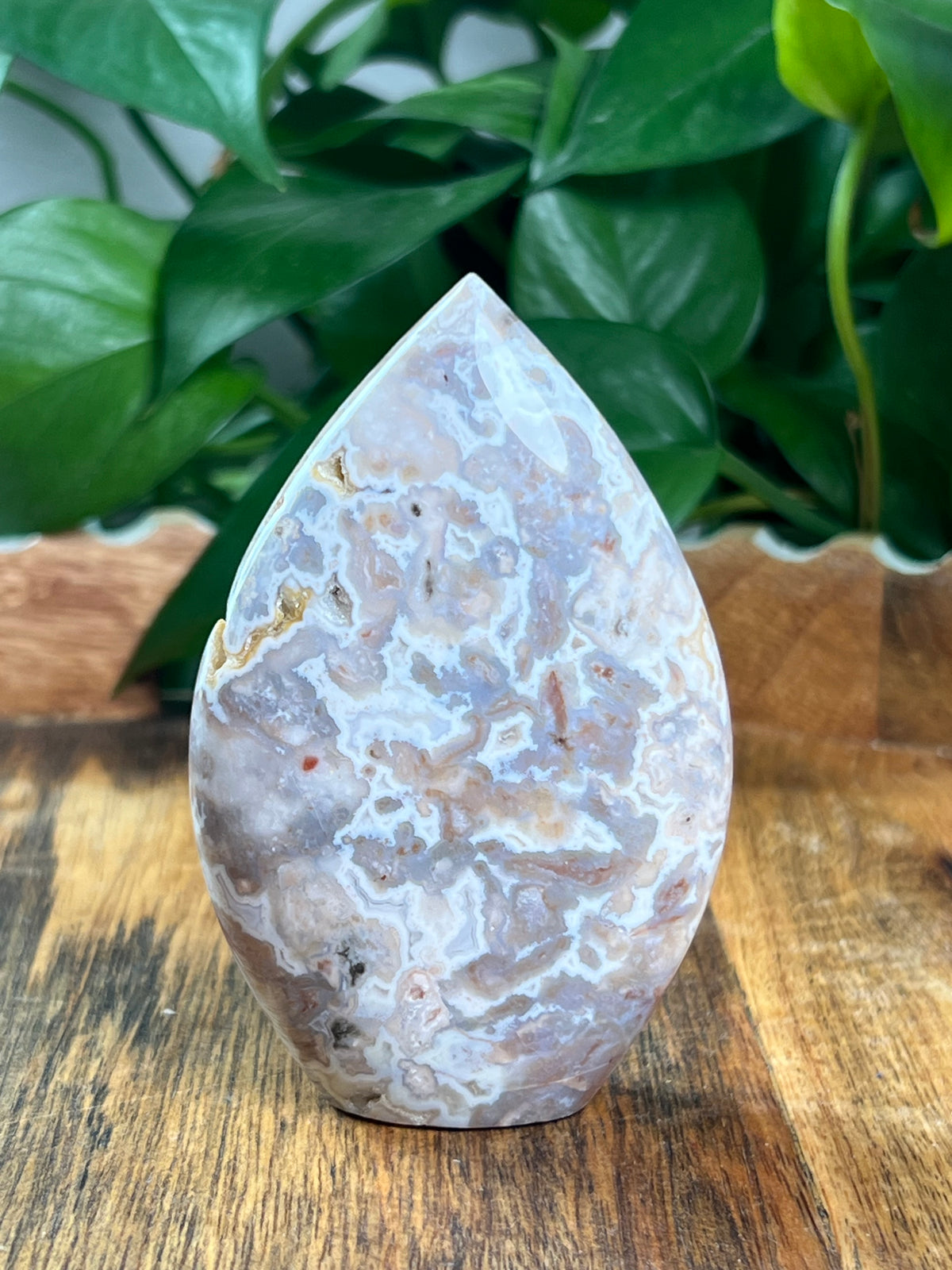 Sumatra Plume Agate Flame: NE