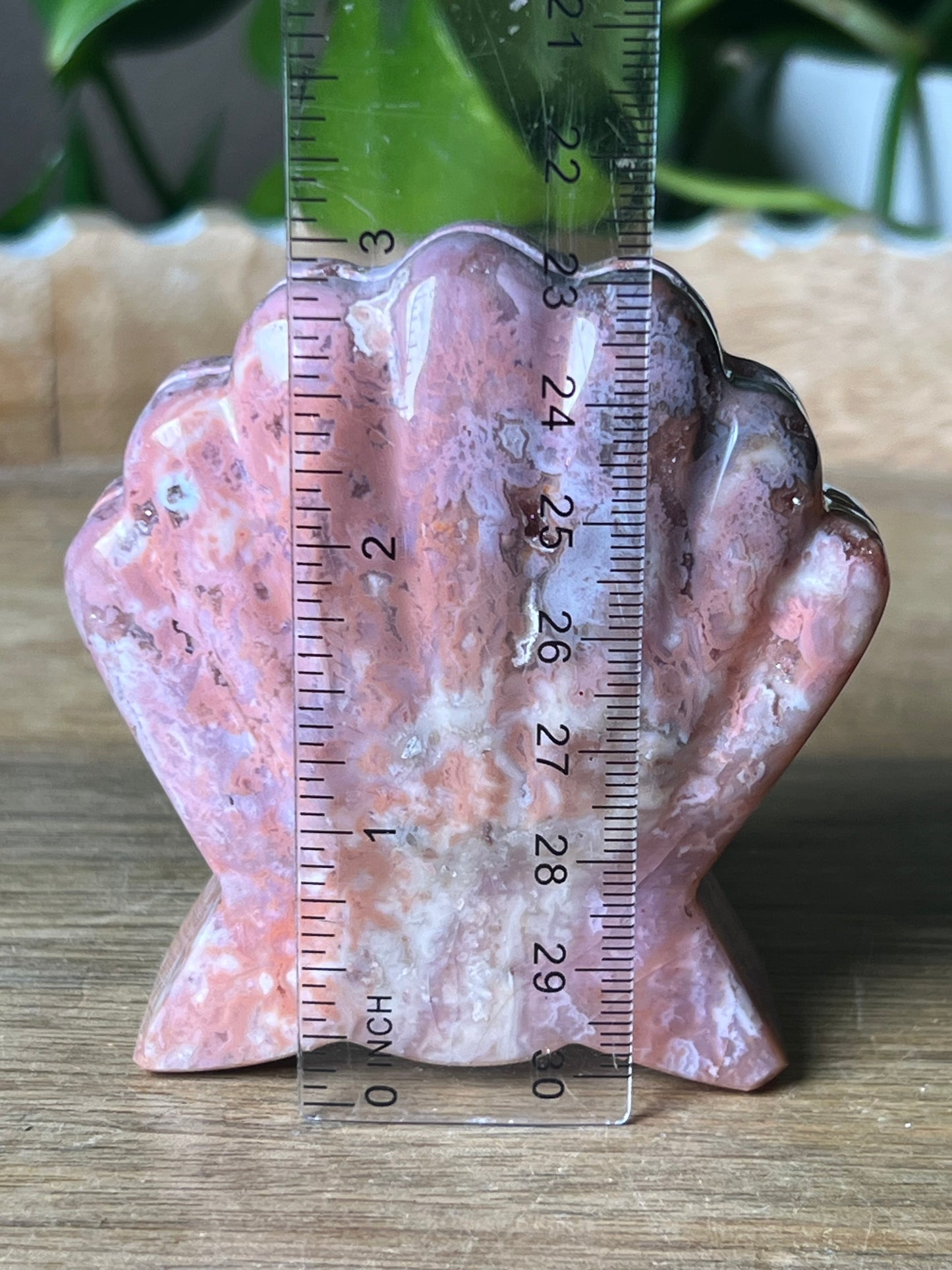 Pink Carnelian Shell