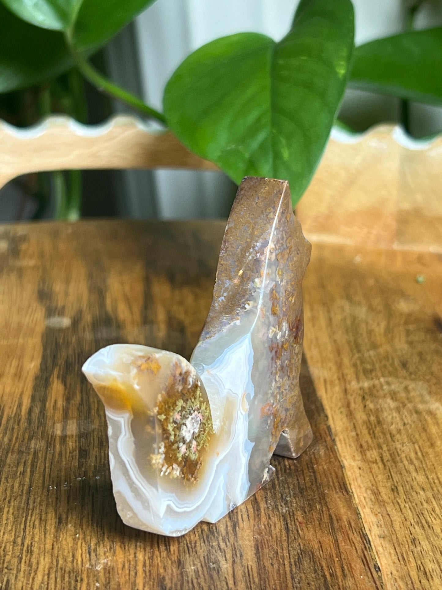 Scenic Moss Agate Fox Pi