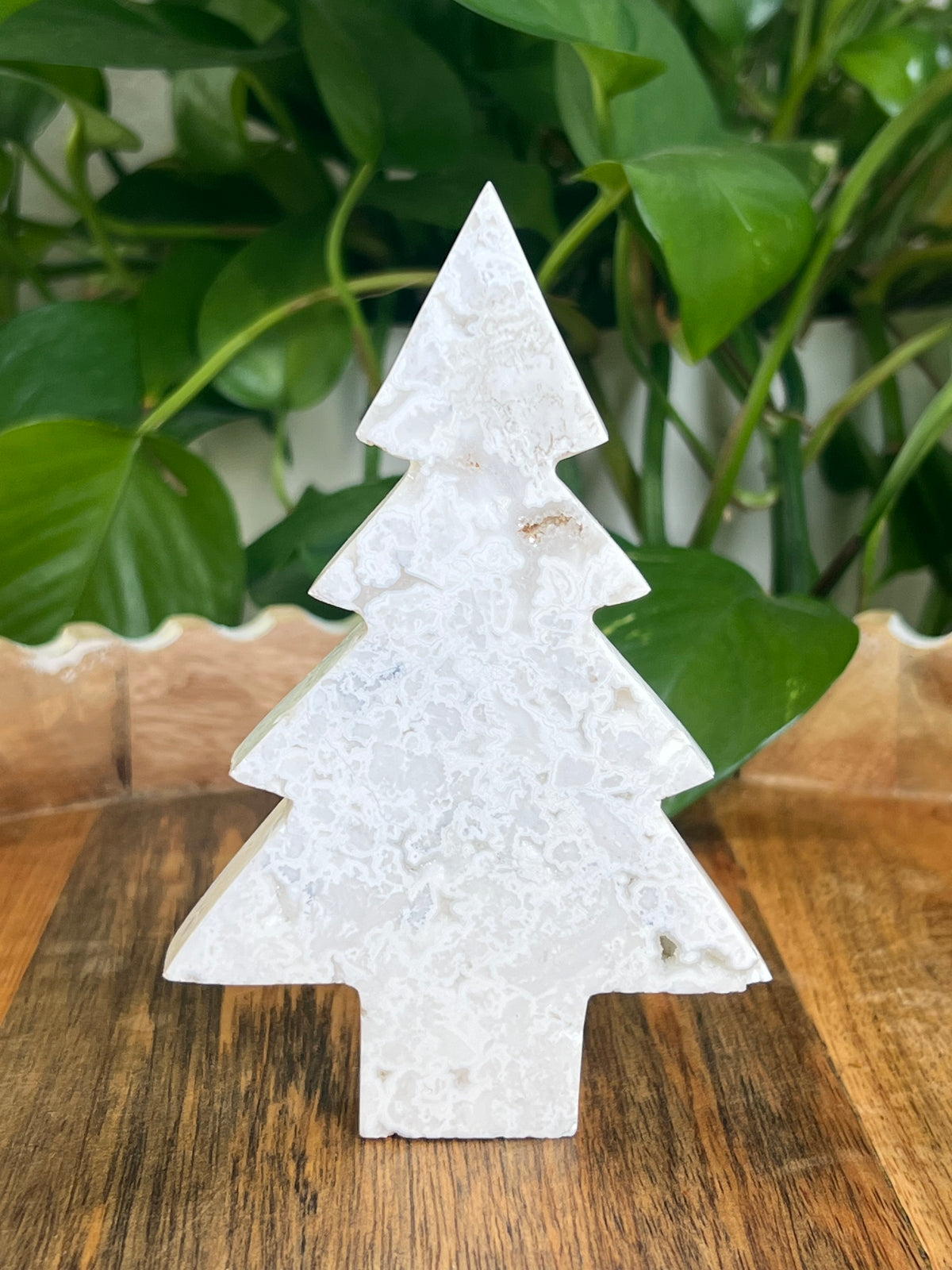 White Plume Agate Tree: DC