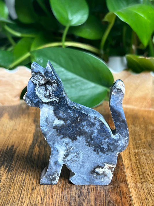 Blue Plume Agate Cat: LB