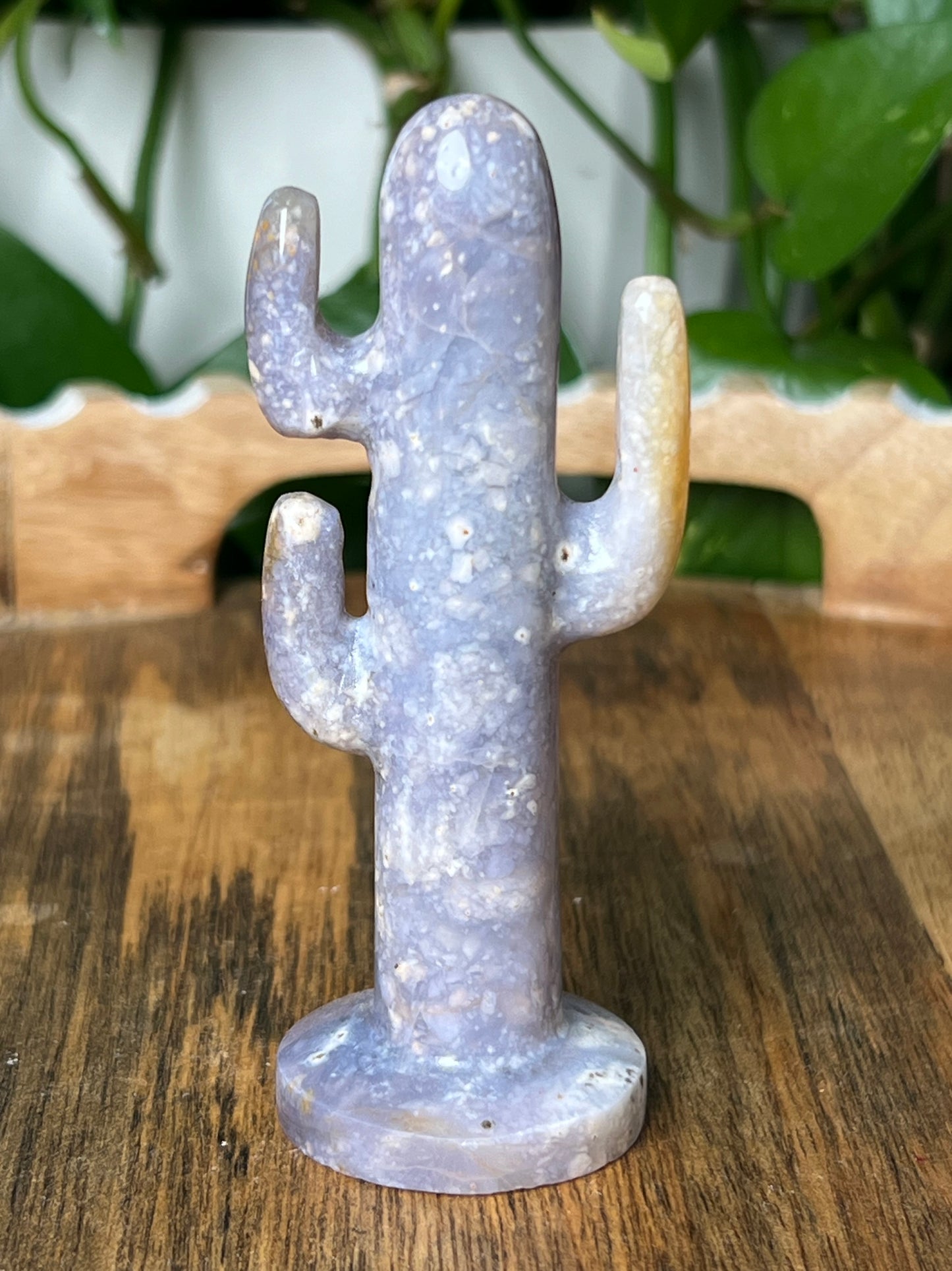Purple Chalcedony Cactus