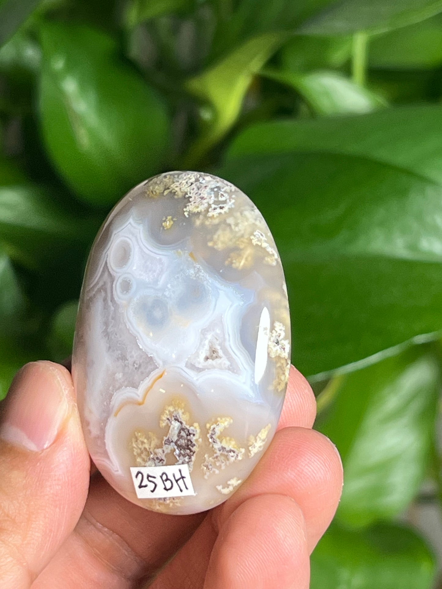Scenic Moss Agate Palmstone: BH