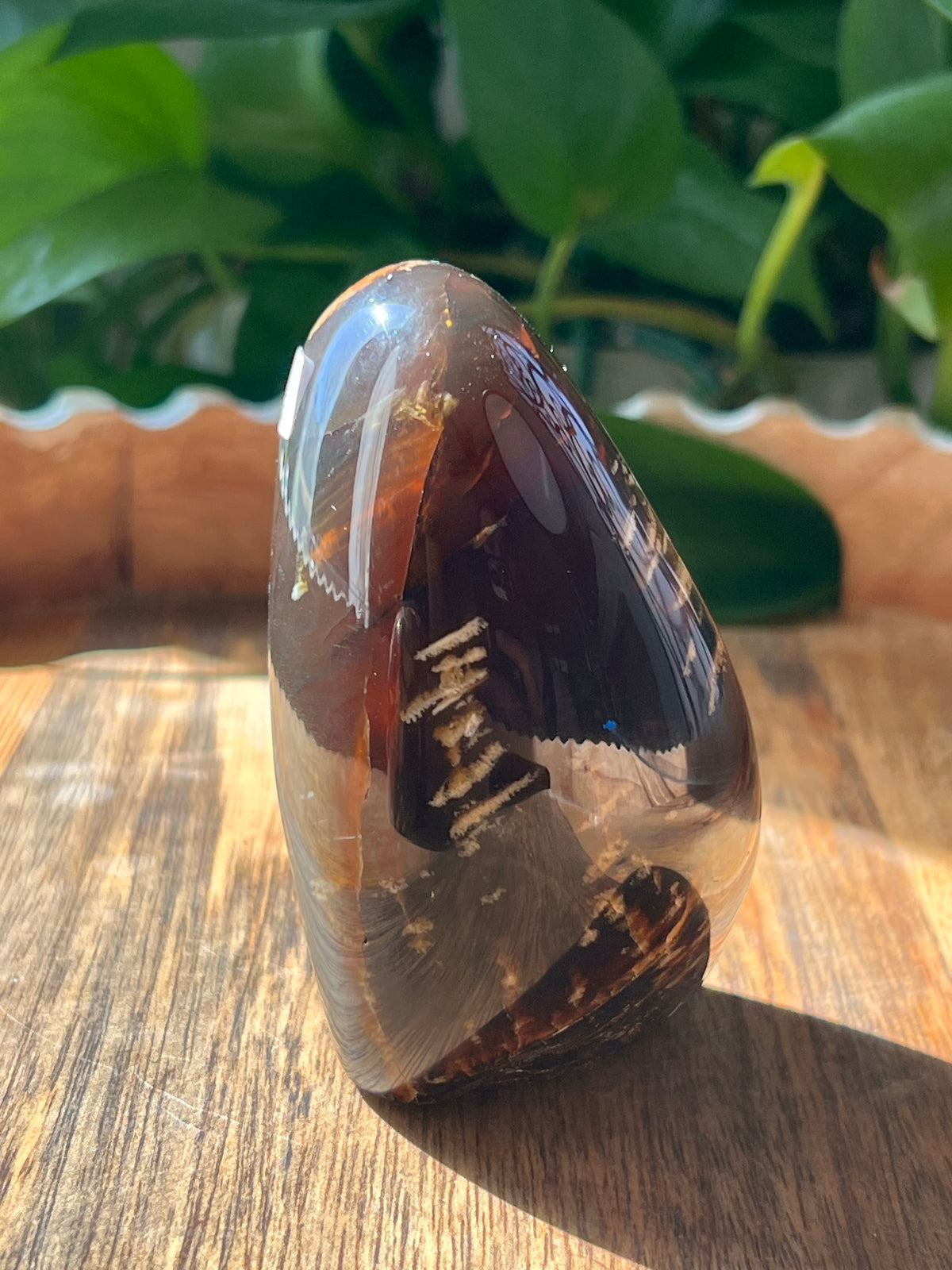 Blue Amber Freeform: E