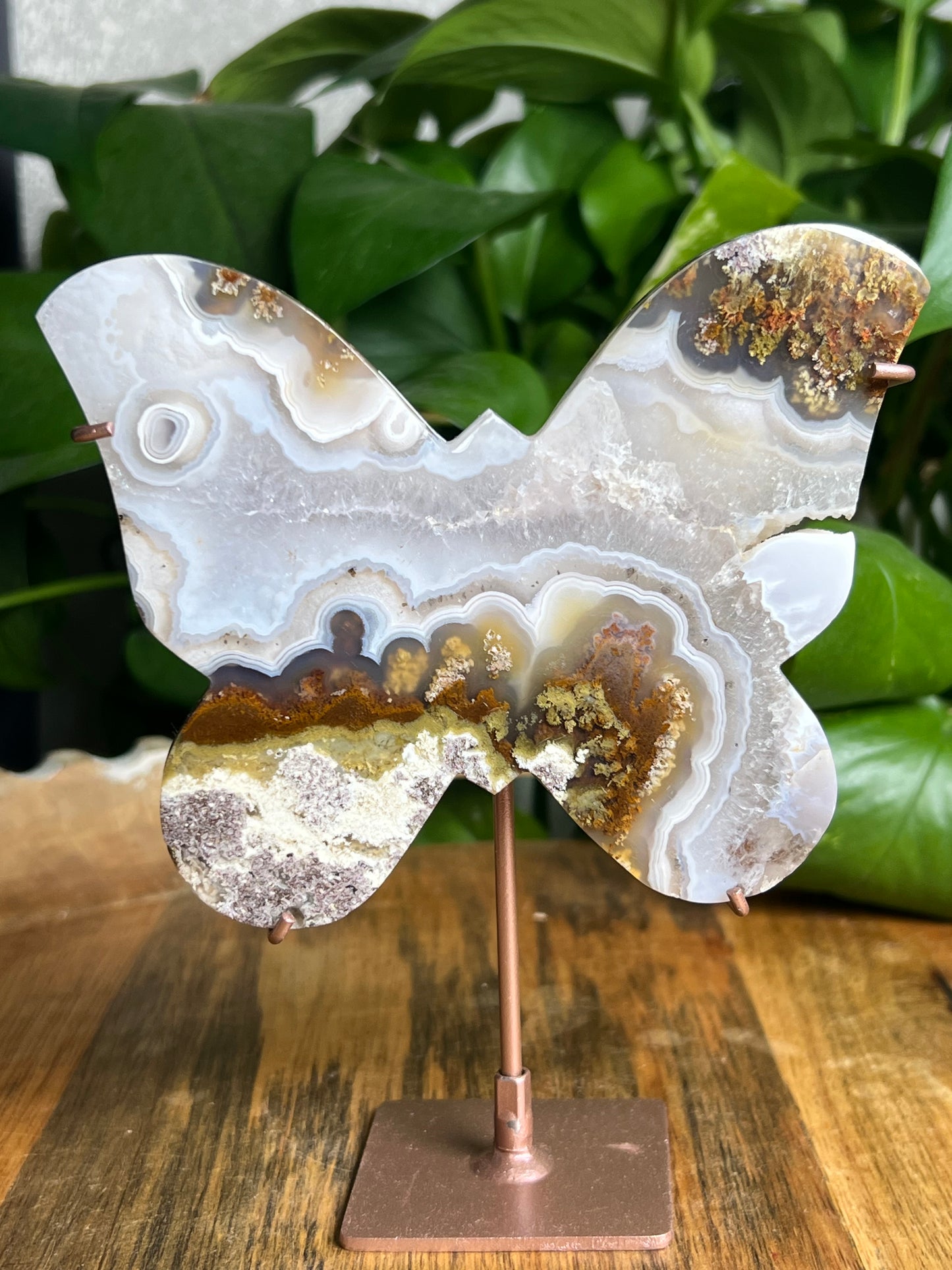 Scenic Moss Agate Butterfly