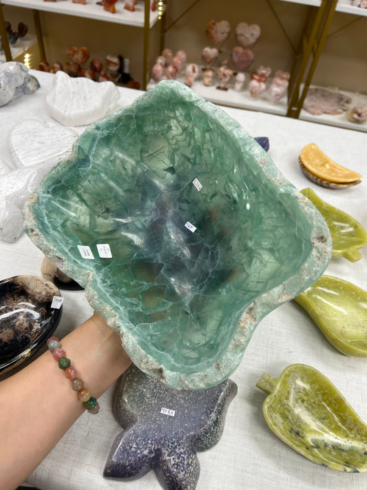 Fluoride Bowl