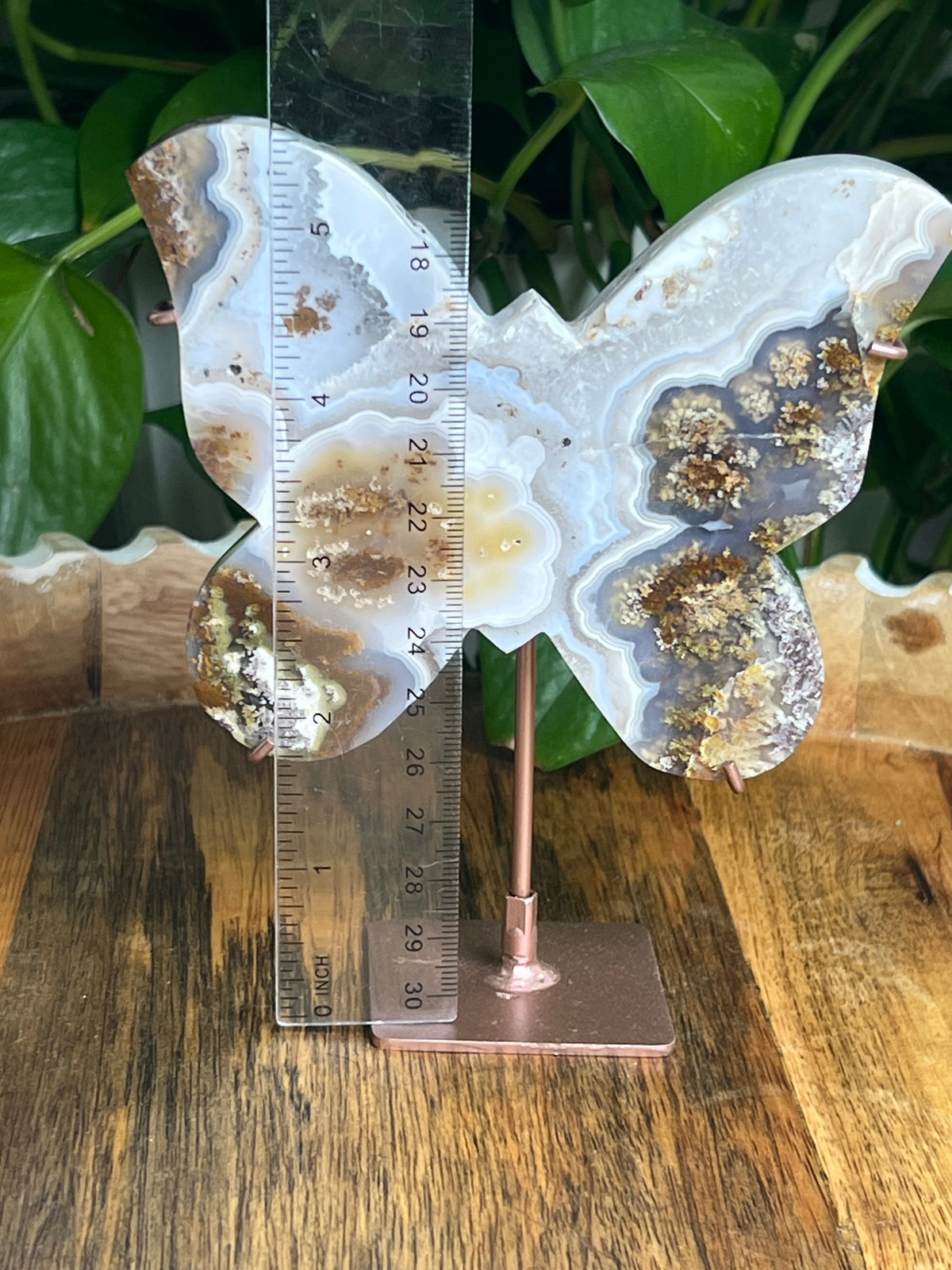 Scenic Moss Agate Butterfly: A