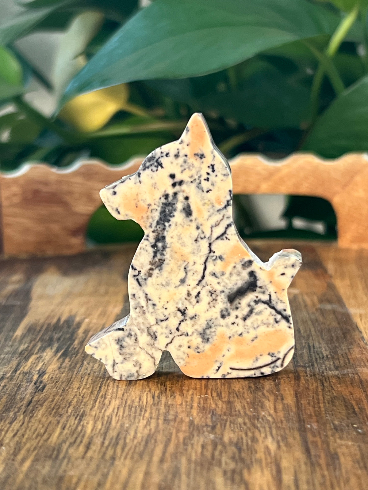 Peachy Pink Dendritic Jasper Dog: KA