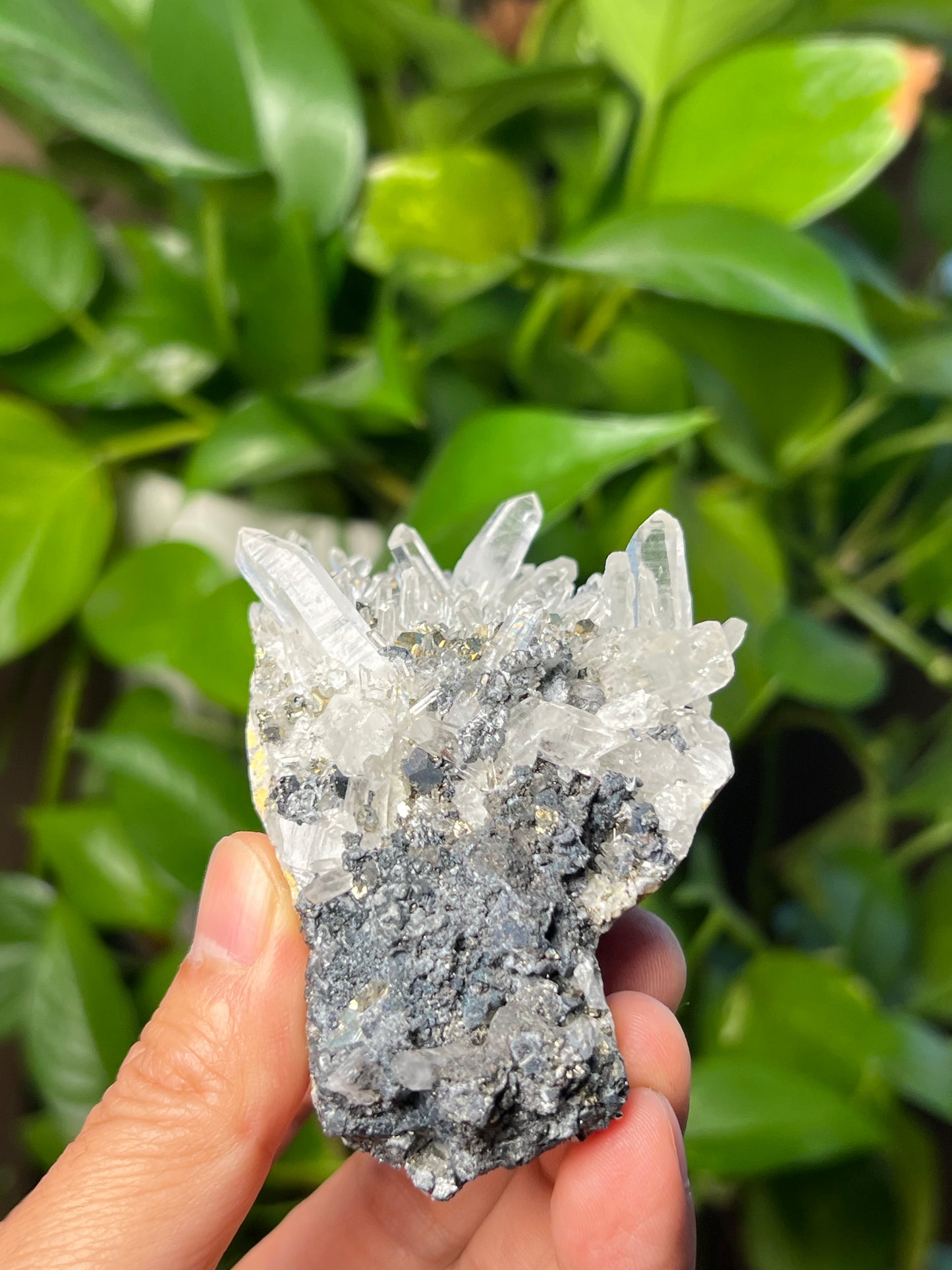 Rainbow Pyrite Quartz