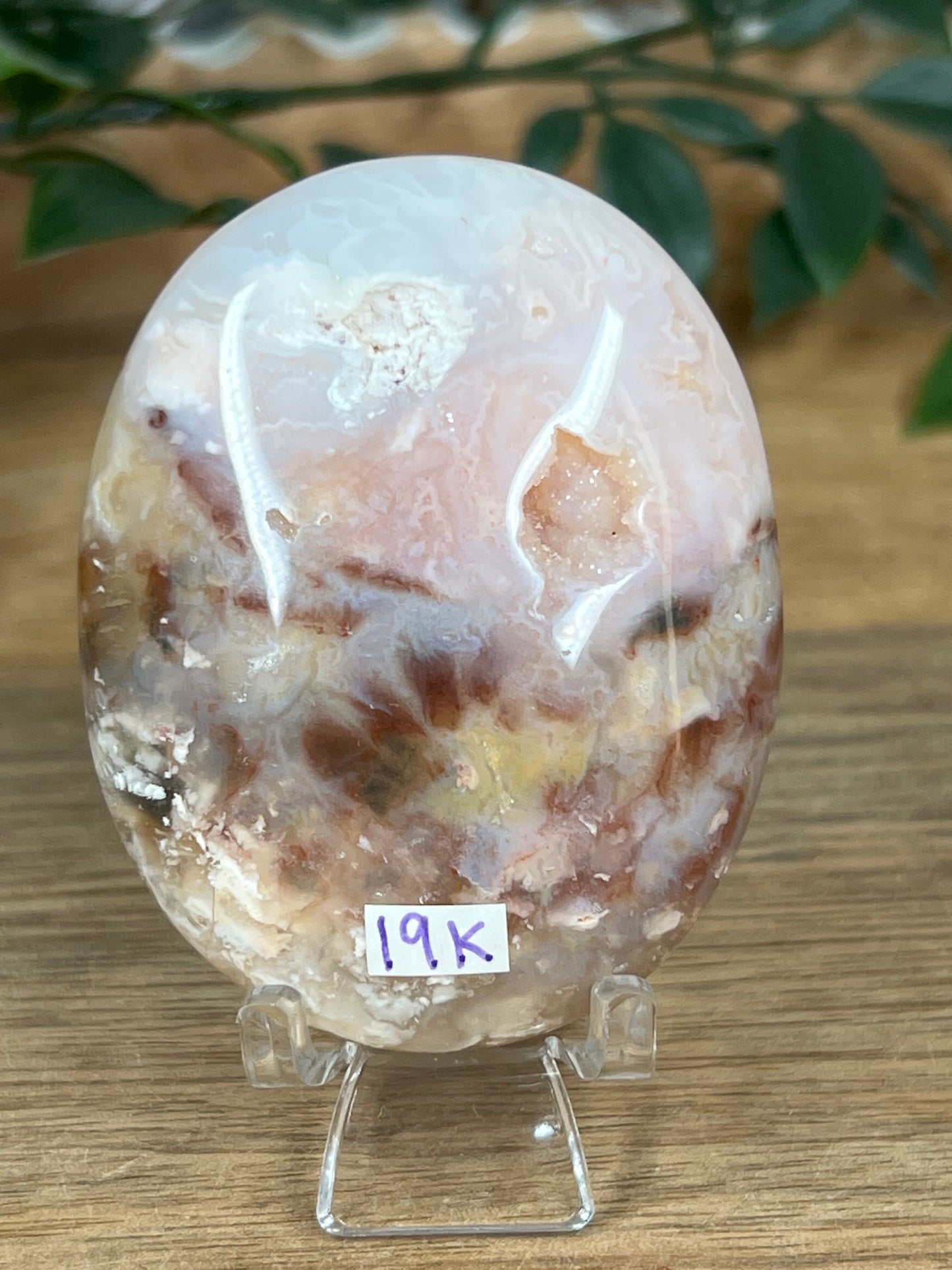 Rainbow Plume Agate Palmstone