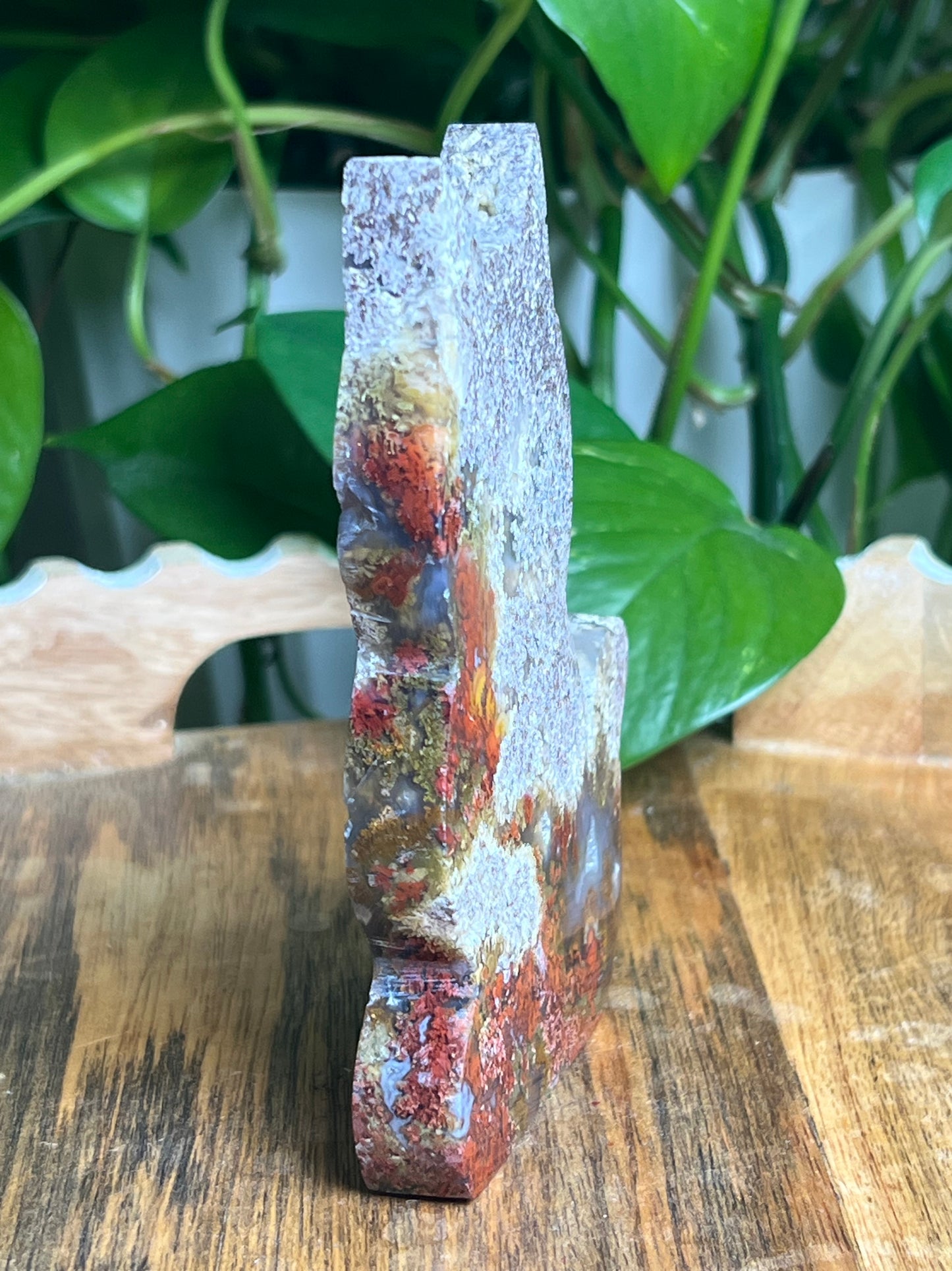 Scenic Moss Agate Cat: AP