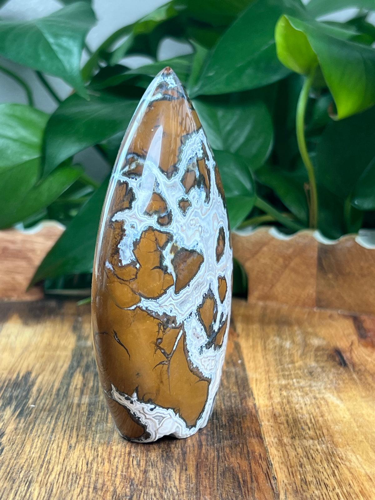 Brecciated Jasper Flame: C