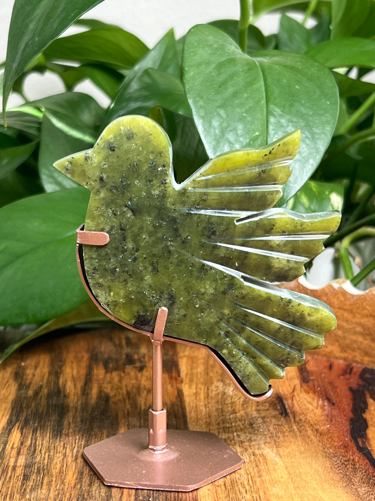 Idocrase Bird: ZK