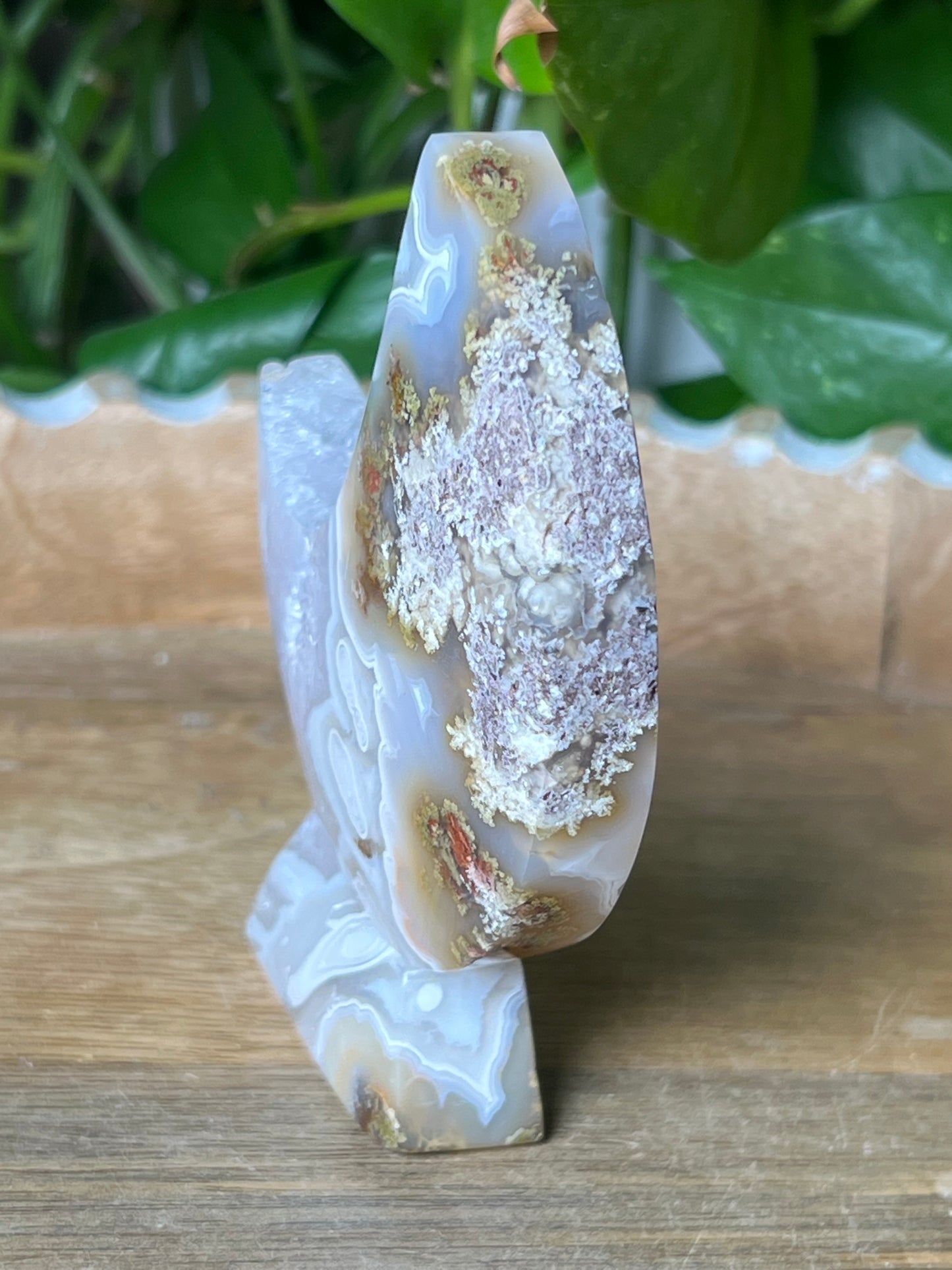 Scenic Moss Agate Moon Stand: AC