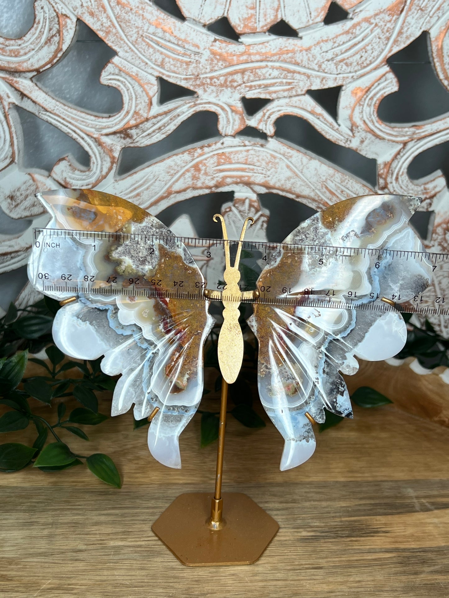 Scenic Moss Agate Wings