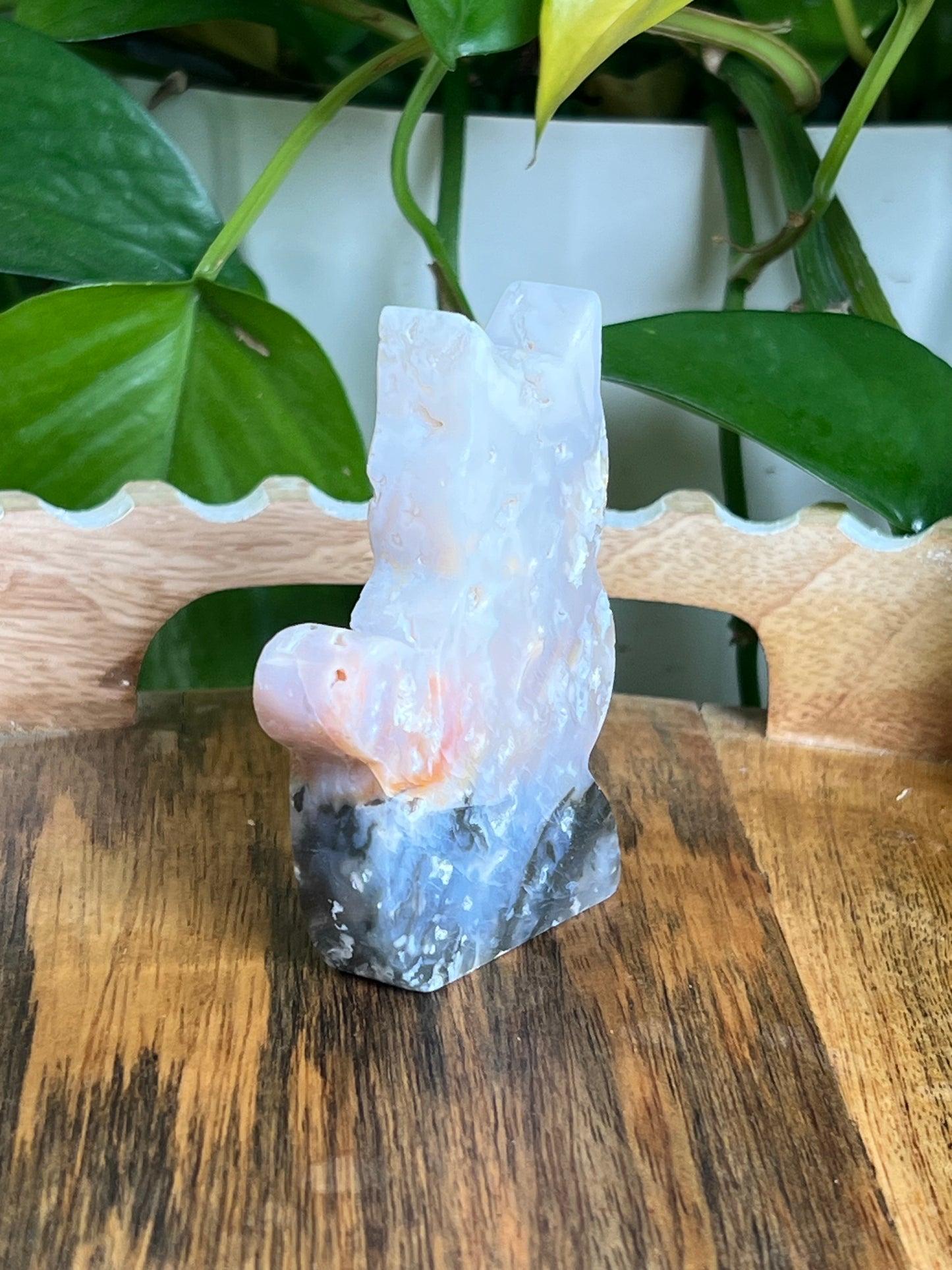 Rainbow Plume Agate Cat NX