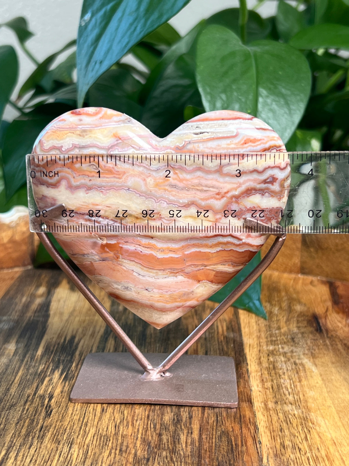 Crazy Lace Agate Heart: Ni