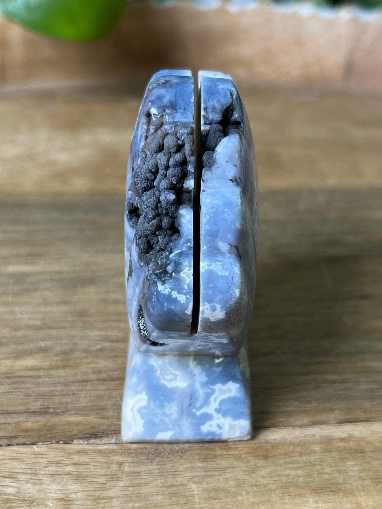 Blue Plume Agate Shell