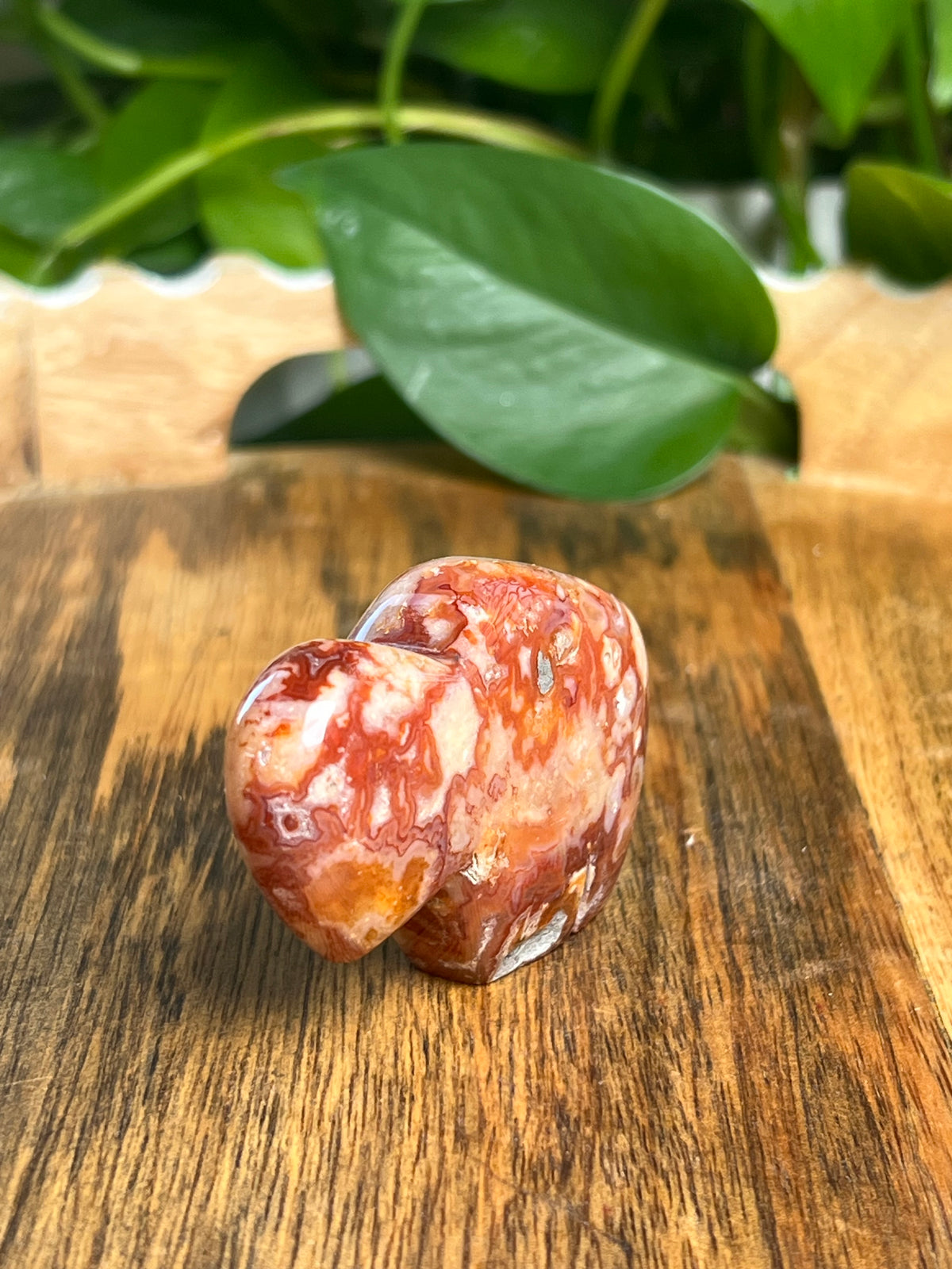 Carnelian Mini Buffalo: BD