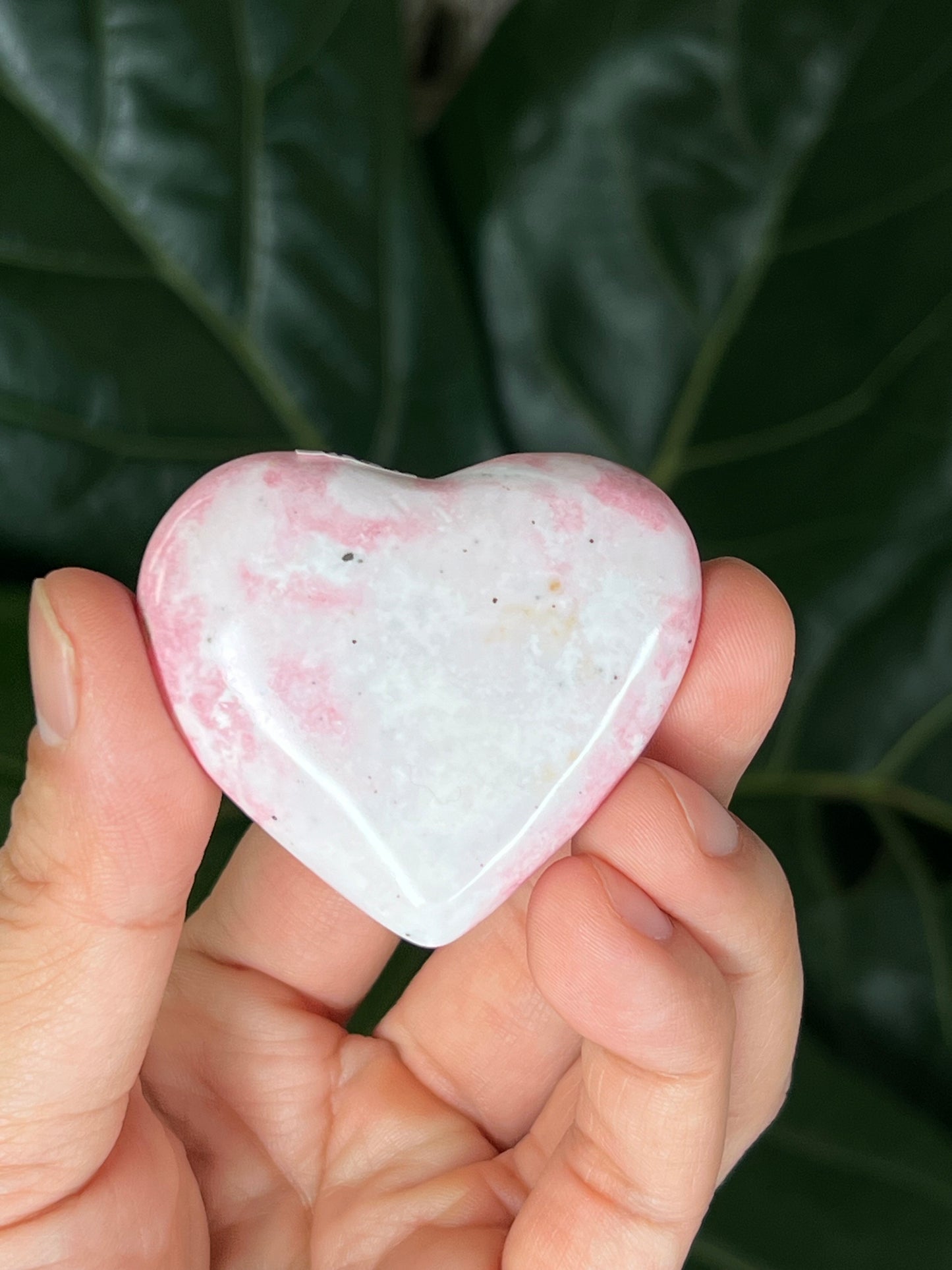 Rhodonite