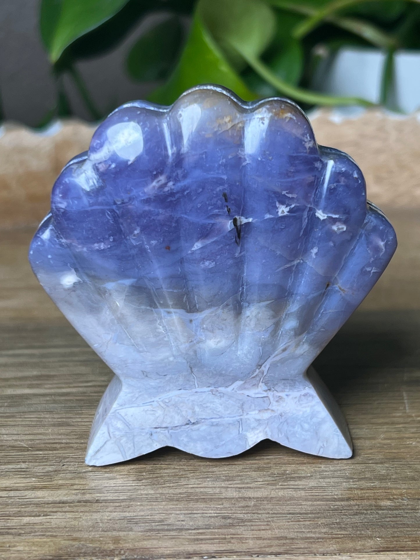 Purple Chalcedony Shell