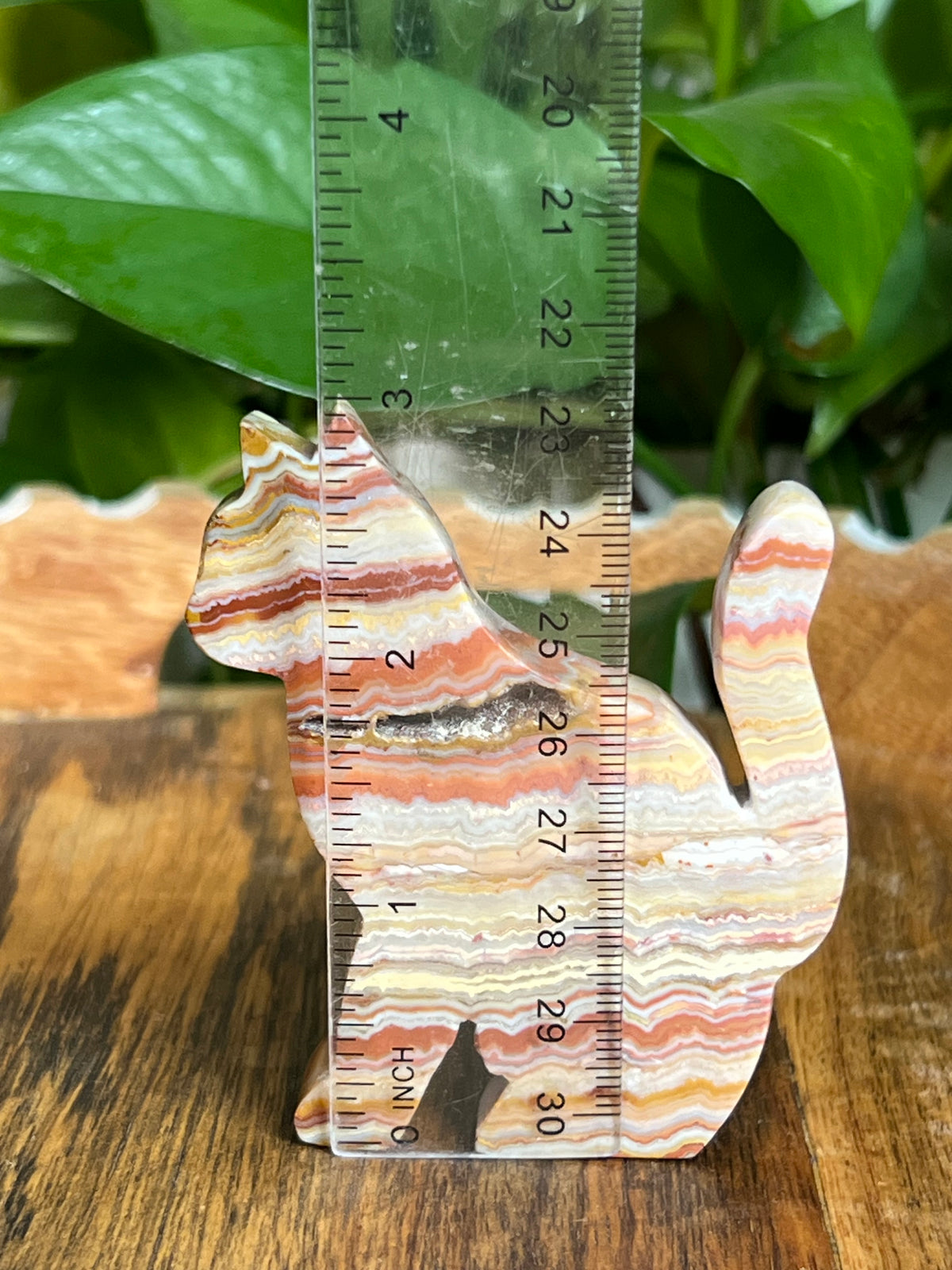 Crazy Lace Agate Cats