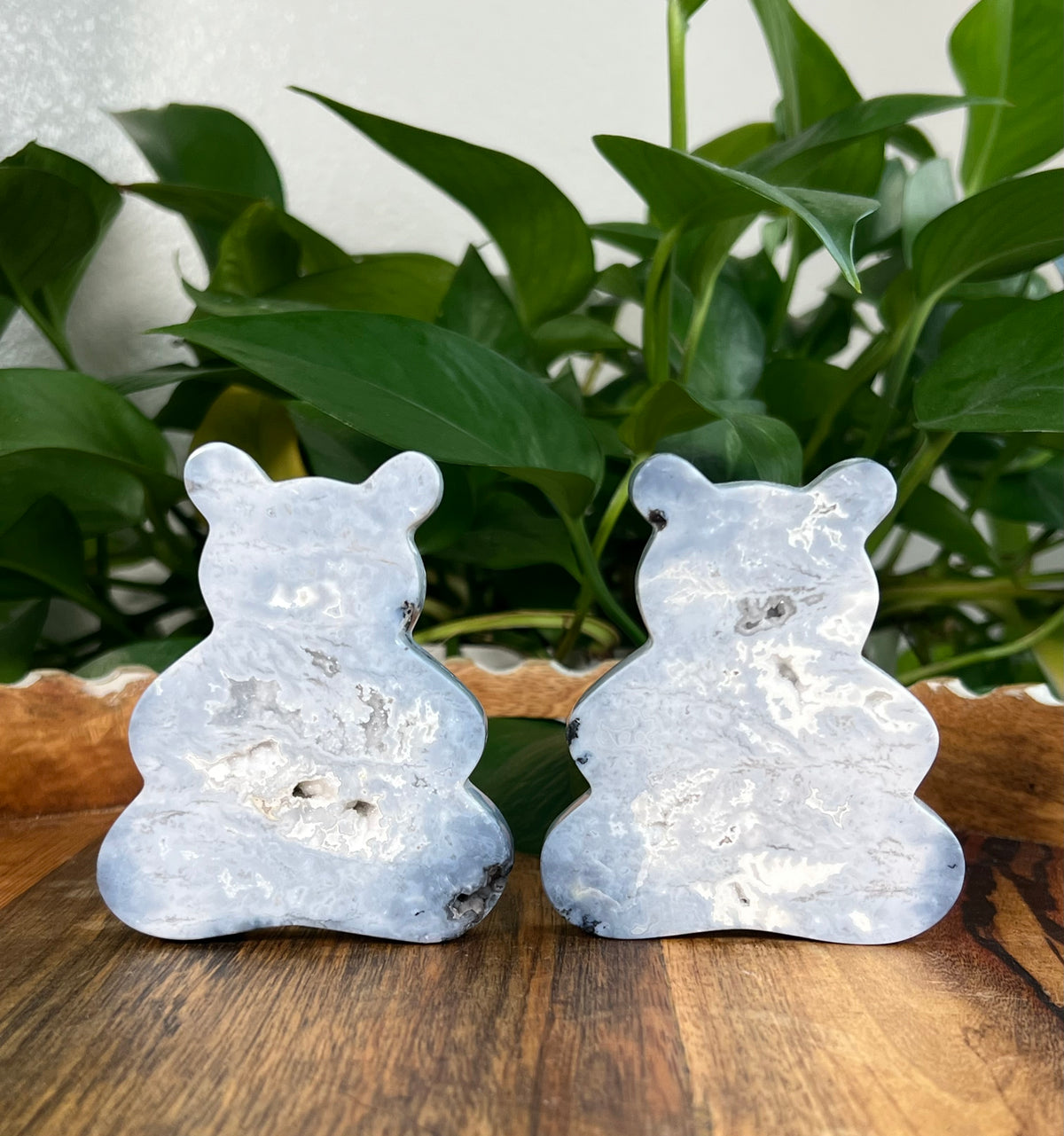 Blue Plume Agate Bears