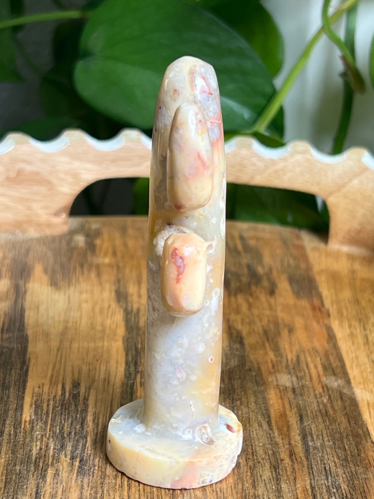 Crazy Lace Agate Cactus