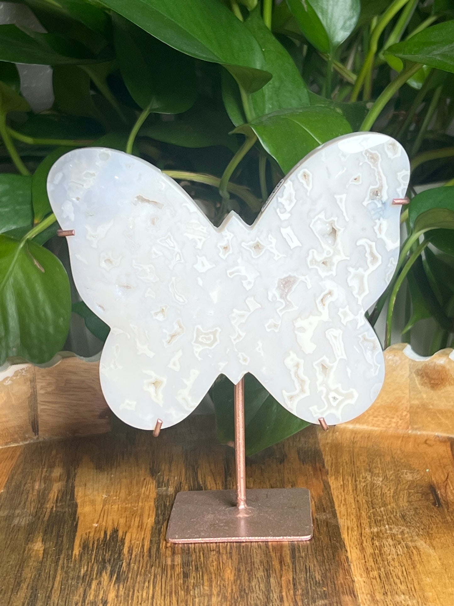 White Plume Agate Butterfly: PN