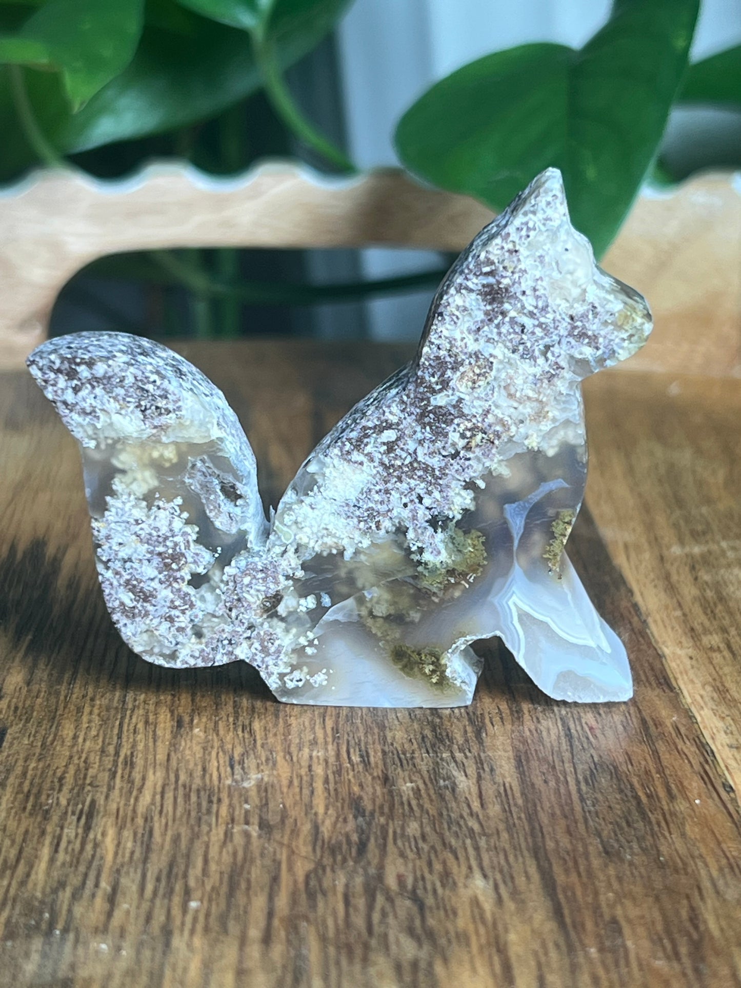 Scenic Moss Agate Fox S