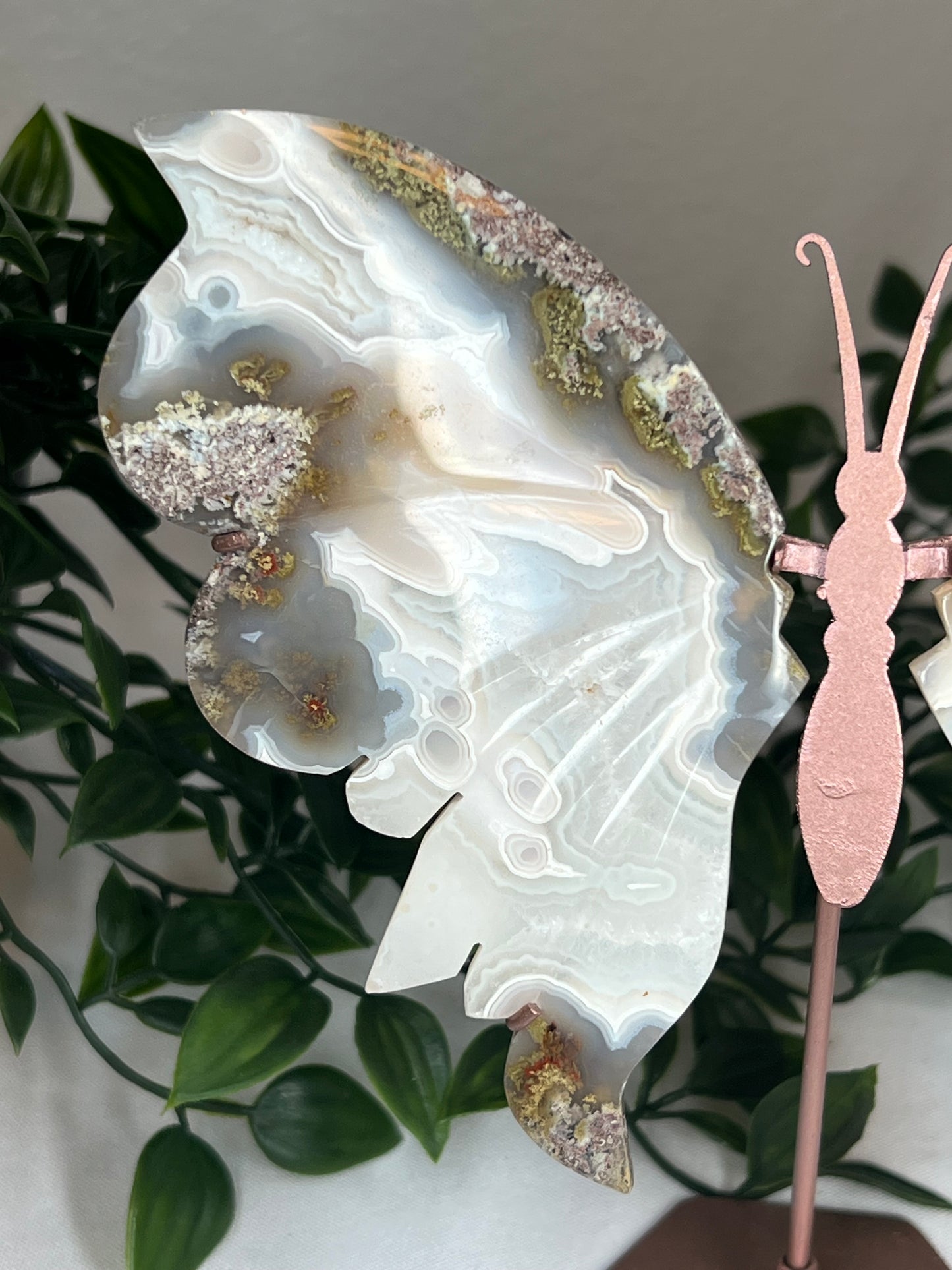 Scenic Moss Agate Wings