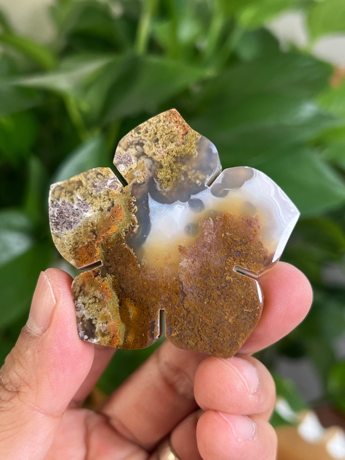 Scenic Moss Agate Flower NL