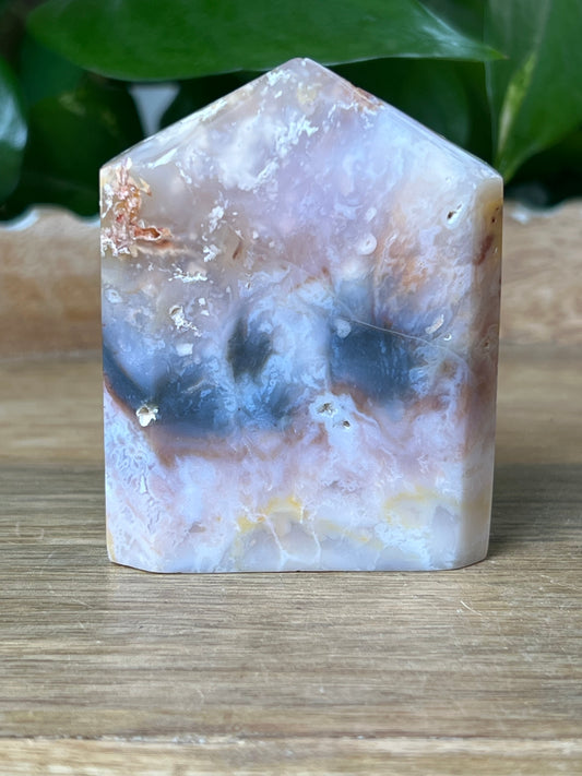 Rainbow Plume Agate Capcake