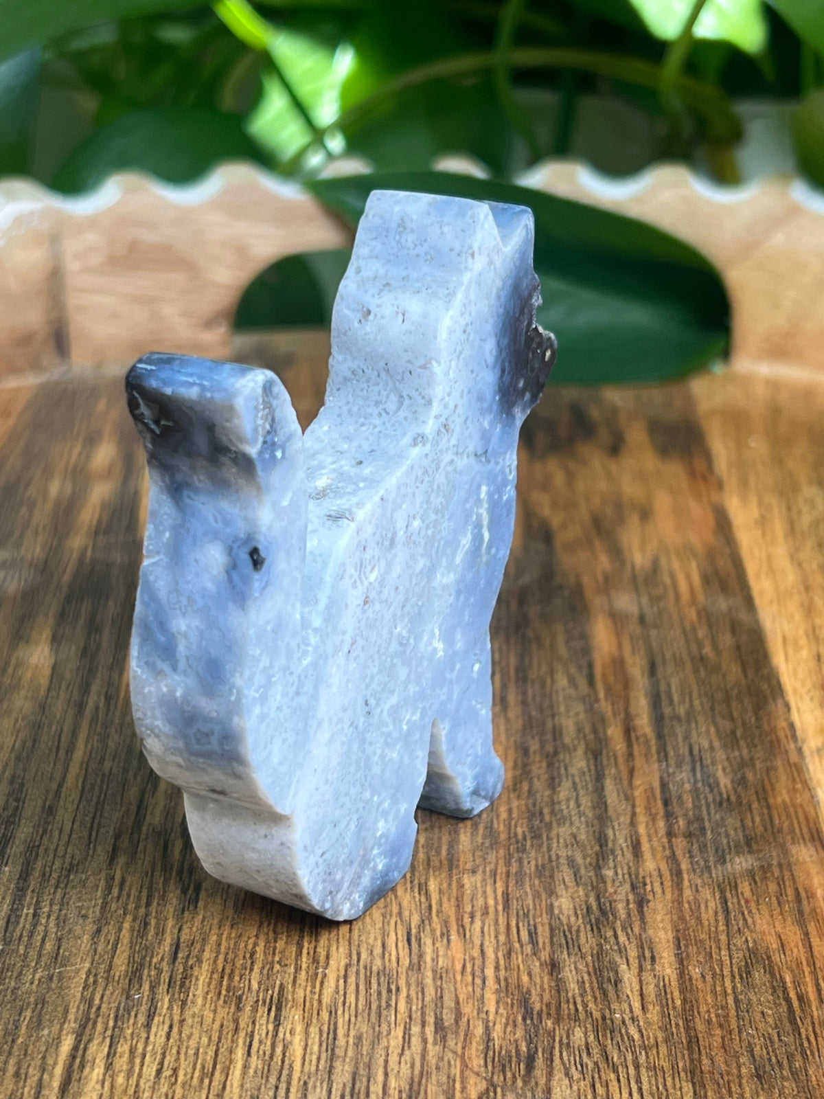 Blue Plume Agate Cat: AB