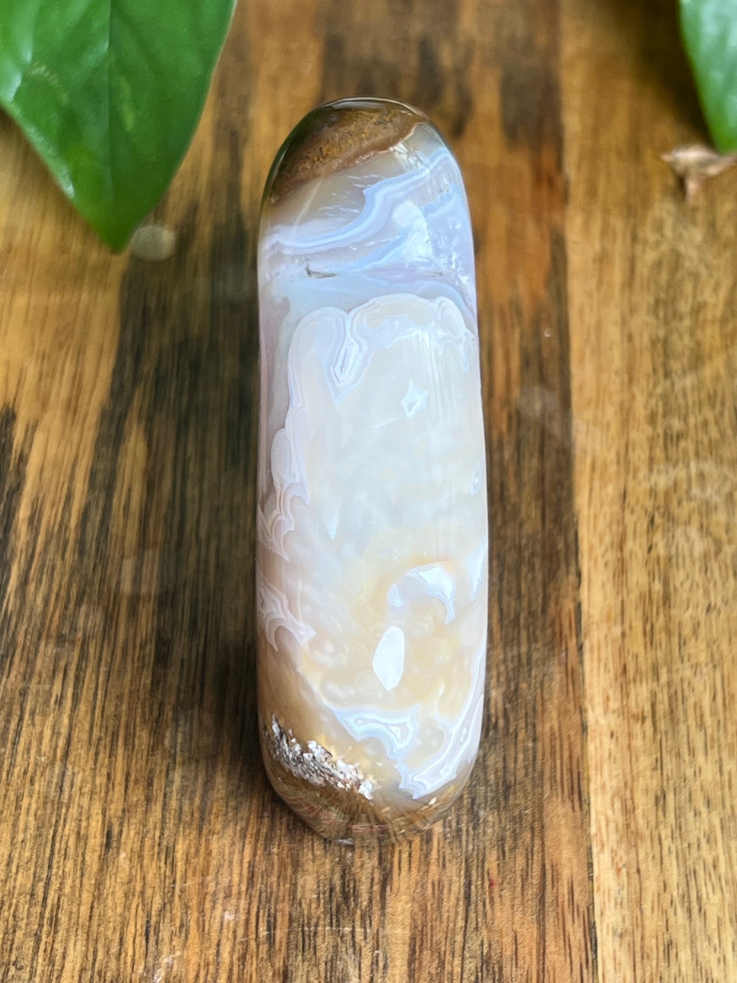 Scenic Moss Agate Buffalo NY