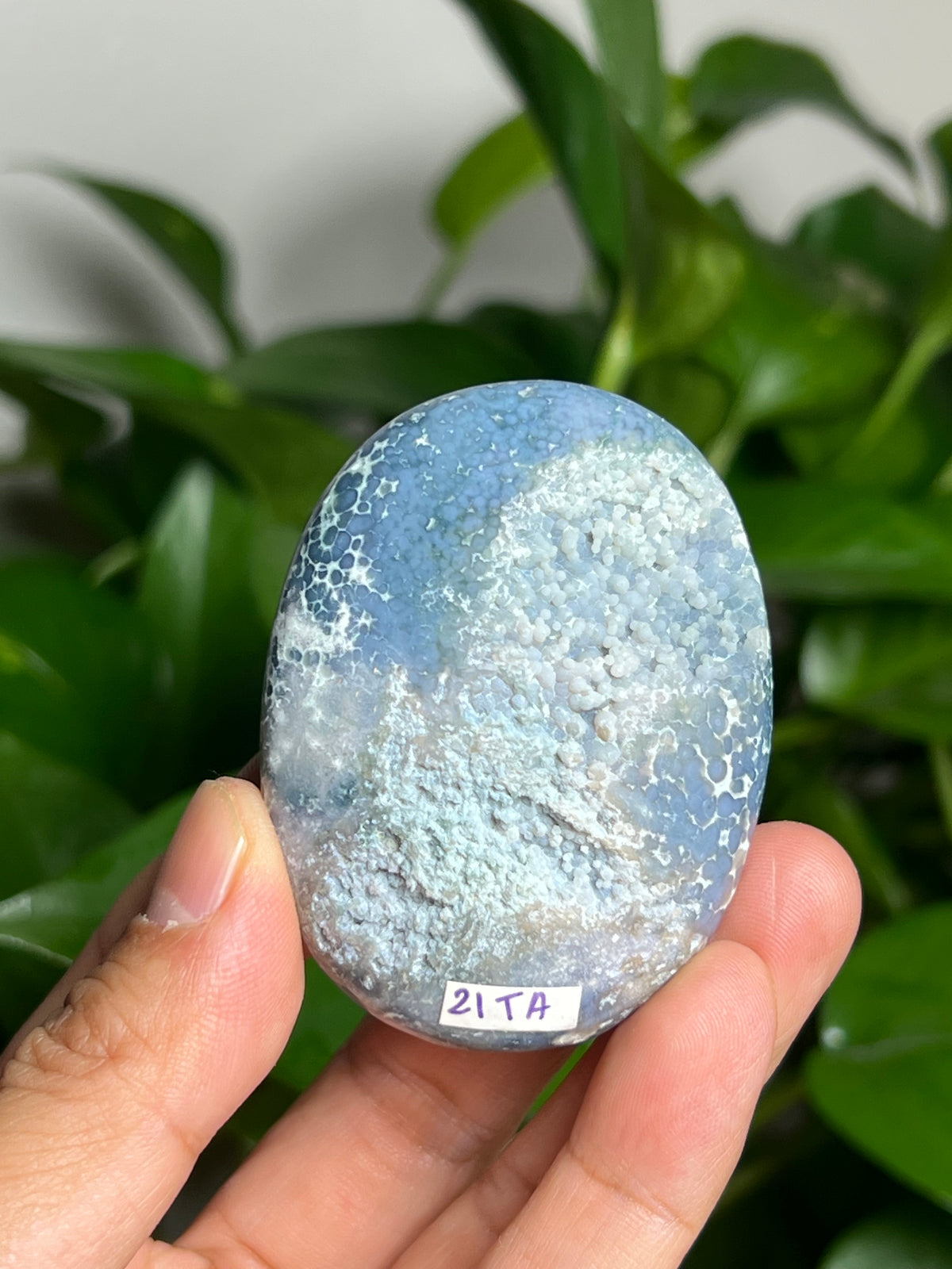 Grape Agate Palmstone: TA