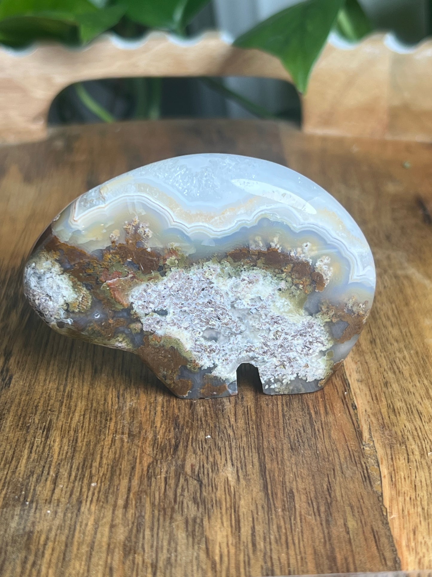 Scenic Moss Agate Bear NS