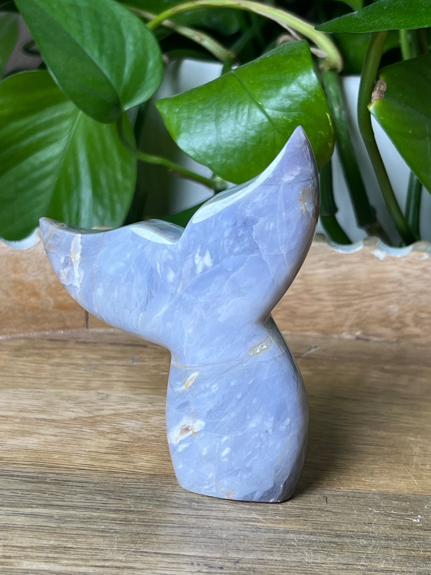 Purple Chalcedony Tail