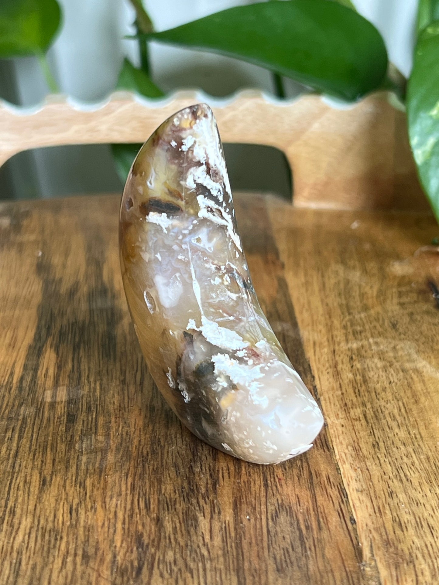 Rainbow Plume Agate Moon K
