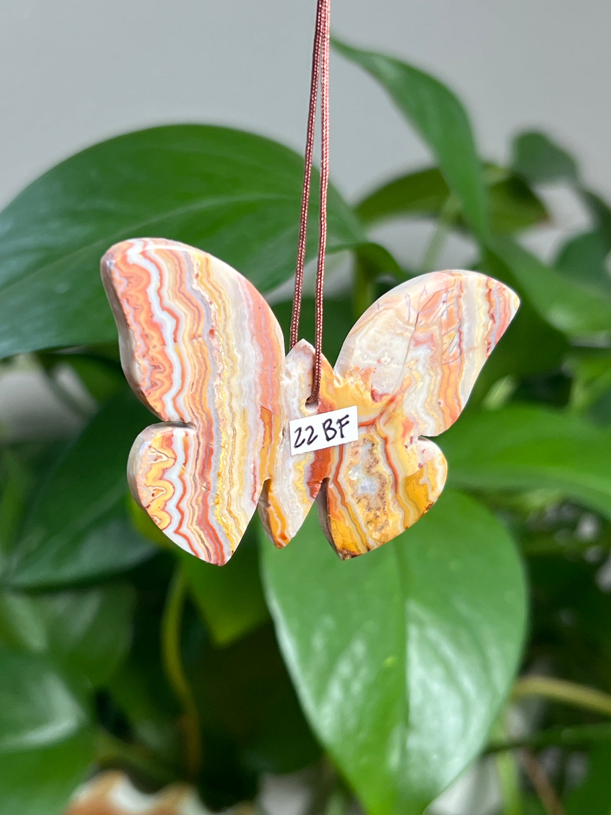 Crazy Lace Agate Ornament Butterfly:  BF