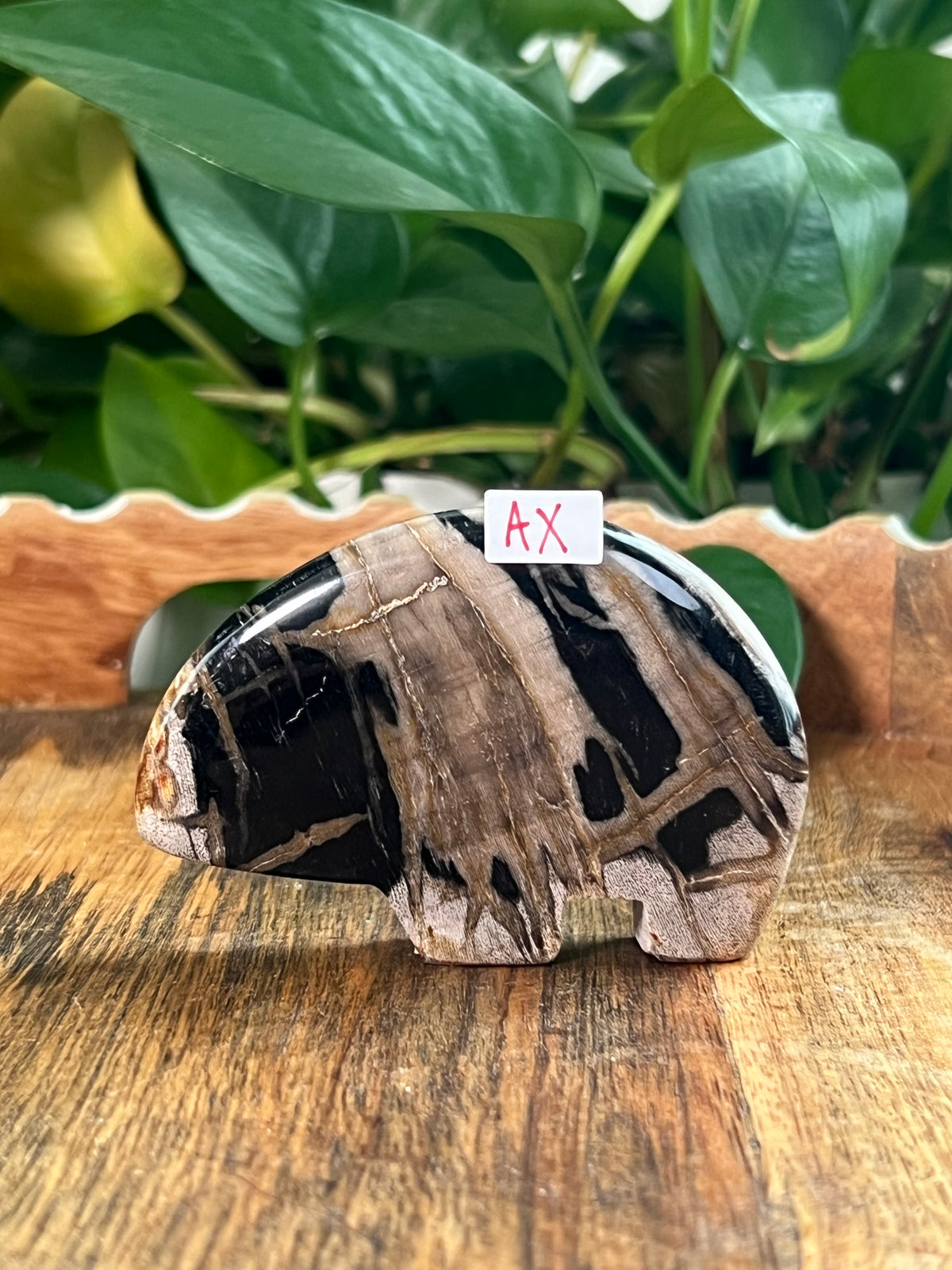 Fossil Wood Bears