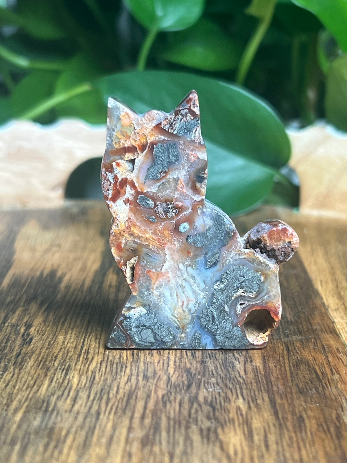 Marcasite Mini Cat: XO