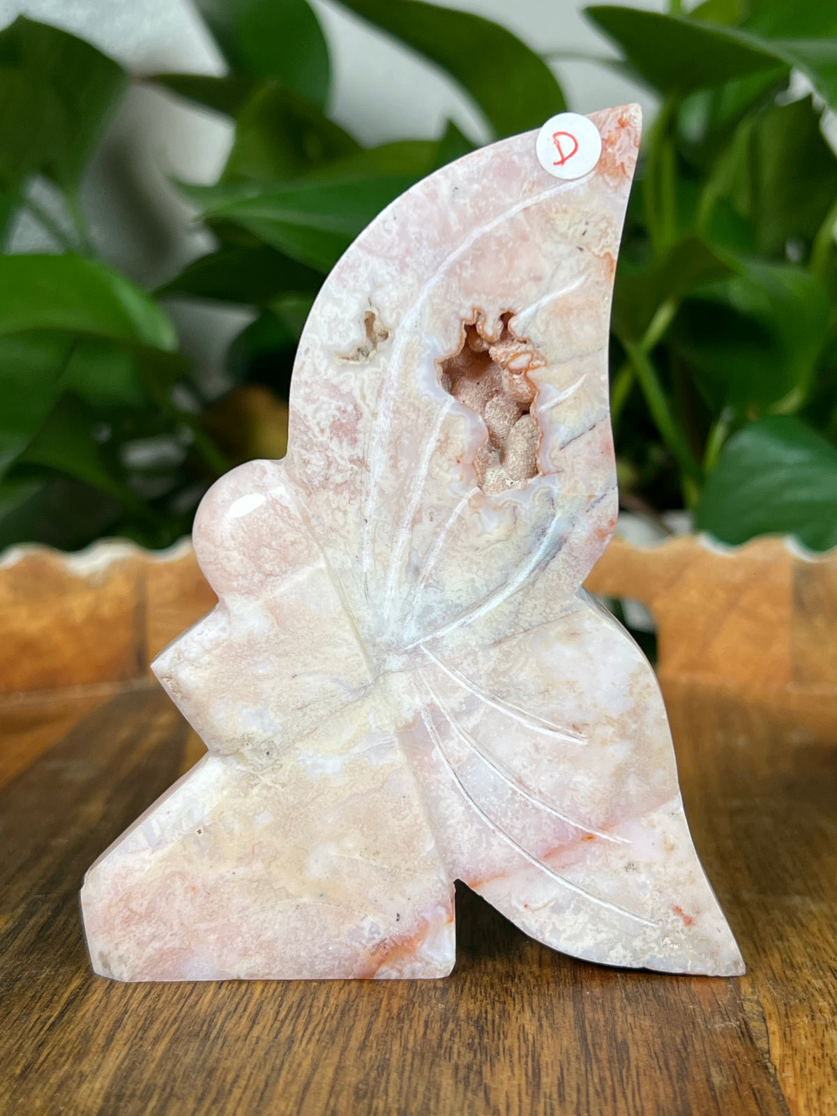 Pink Carnelian Fairies