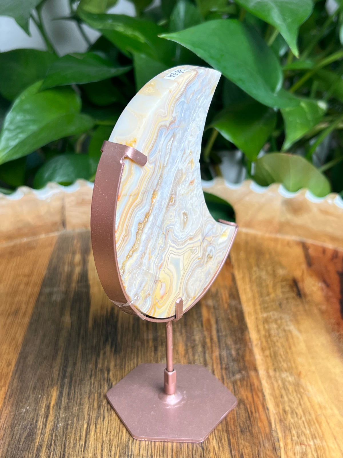 Yellow Crazy Lace Agate Moon: ZA