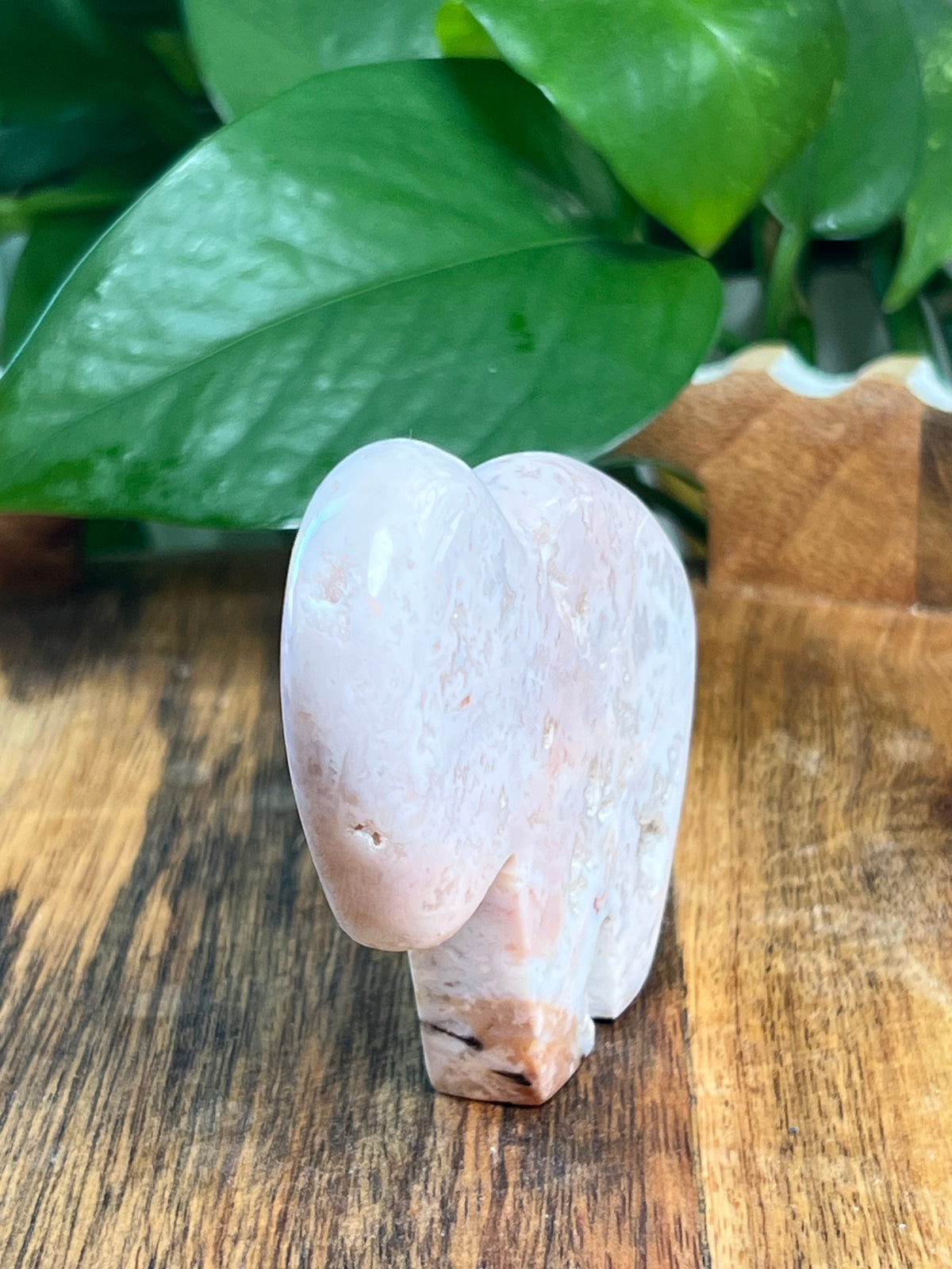 Pink Carnelian Buffalo: VA