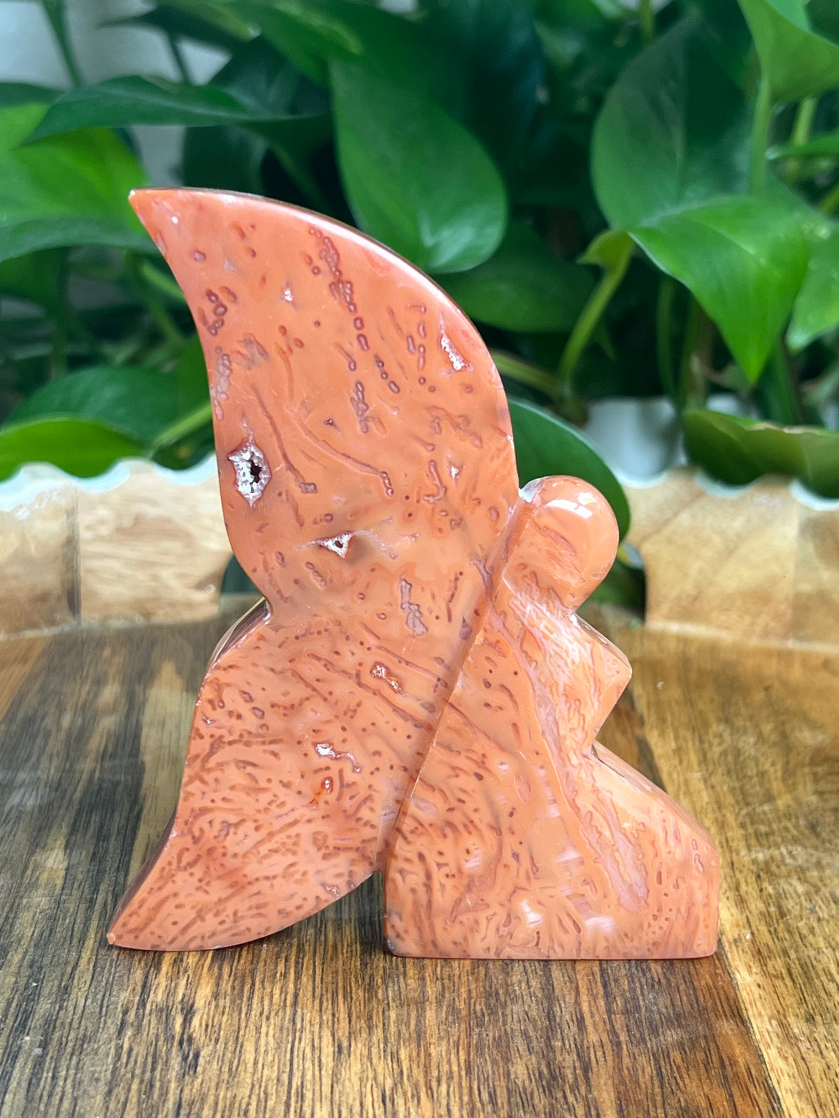 Carnelian Fairy: E